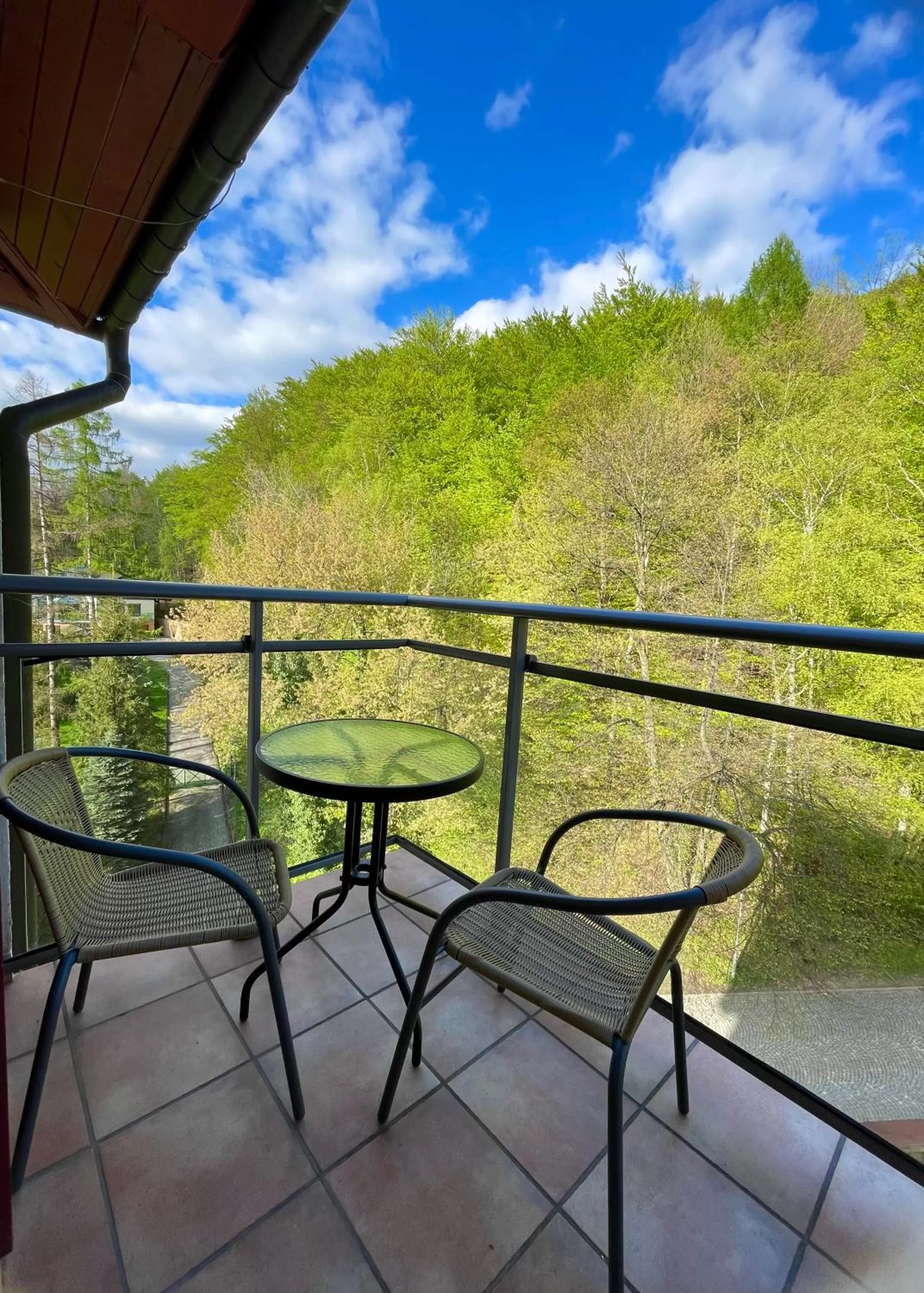 View (from property/room) in Hotel Belweder