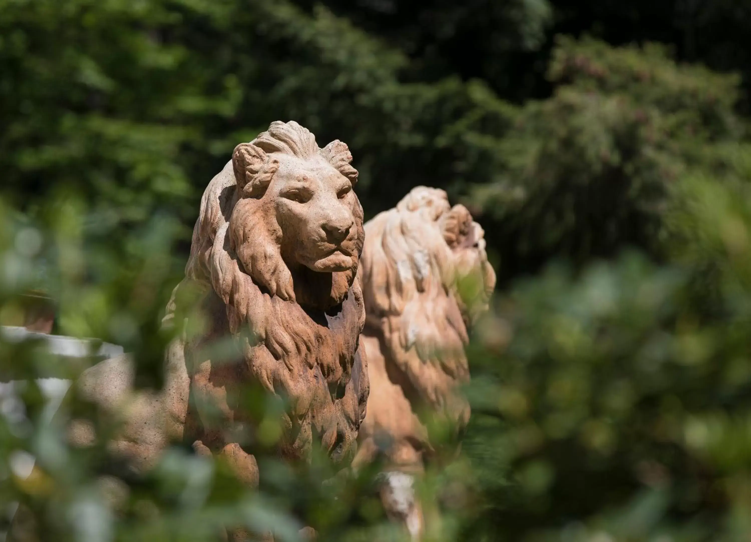 Other Animals in Hotel Weißes Schloß