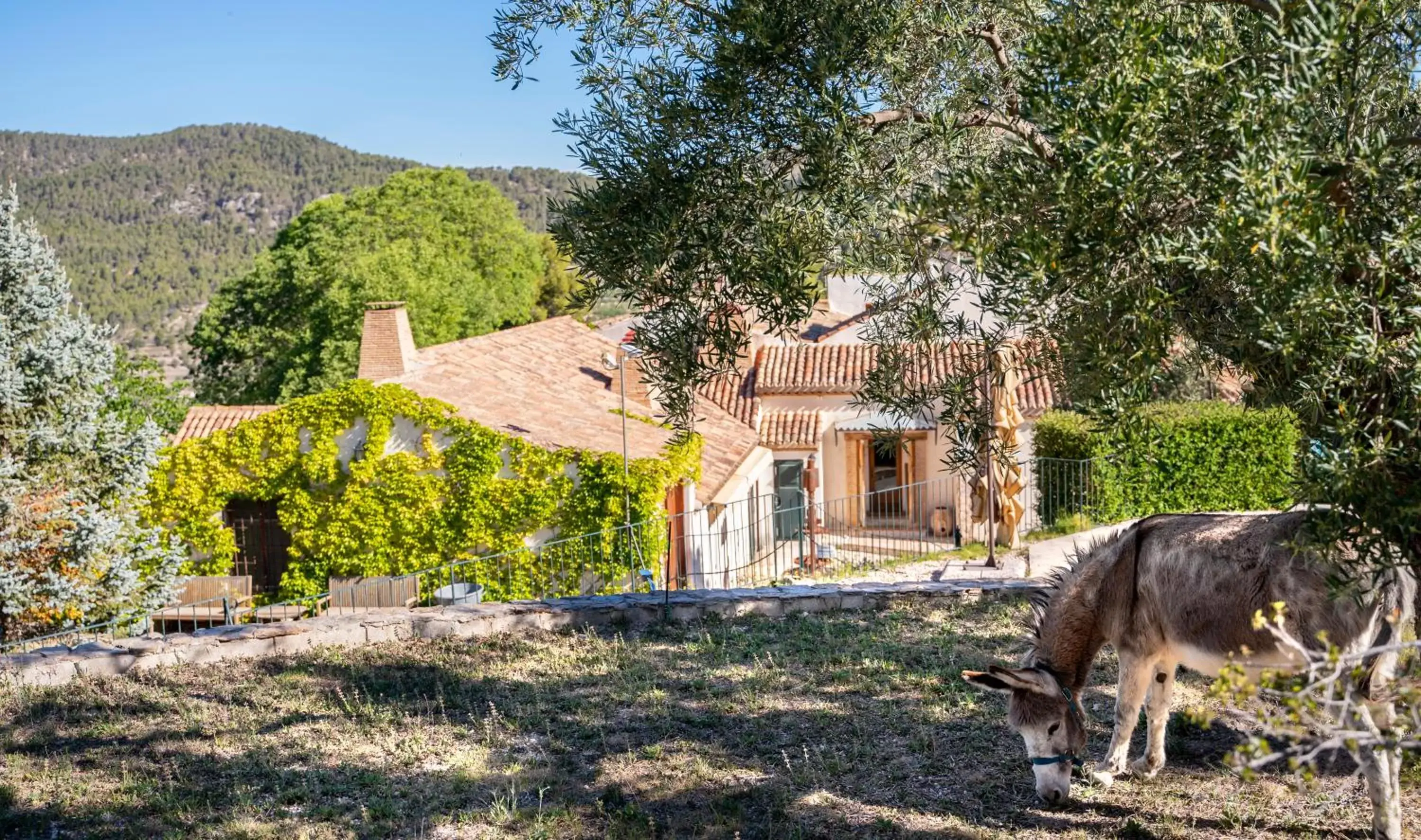 Property Building in Eco Hotel con encanto Masía la Mota B&B