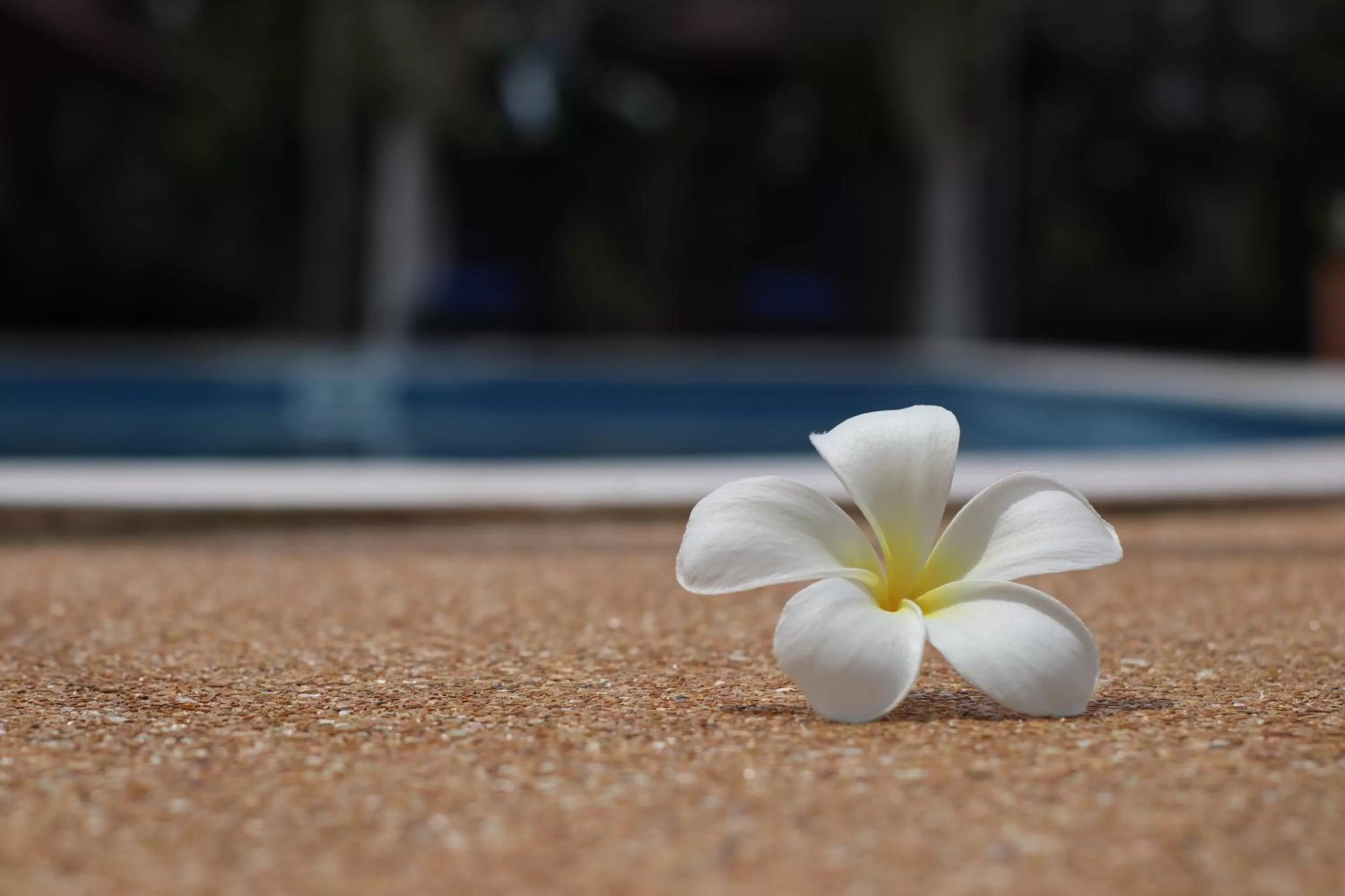 Pool view in The Hillside Pranburi Resort