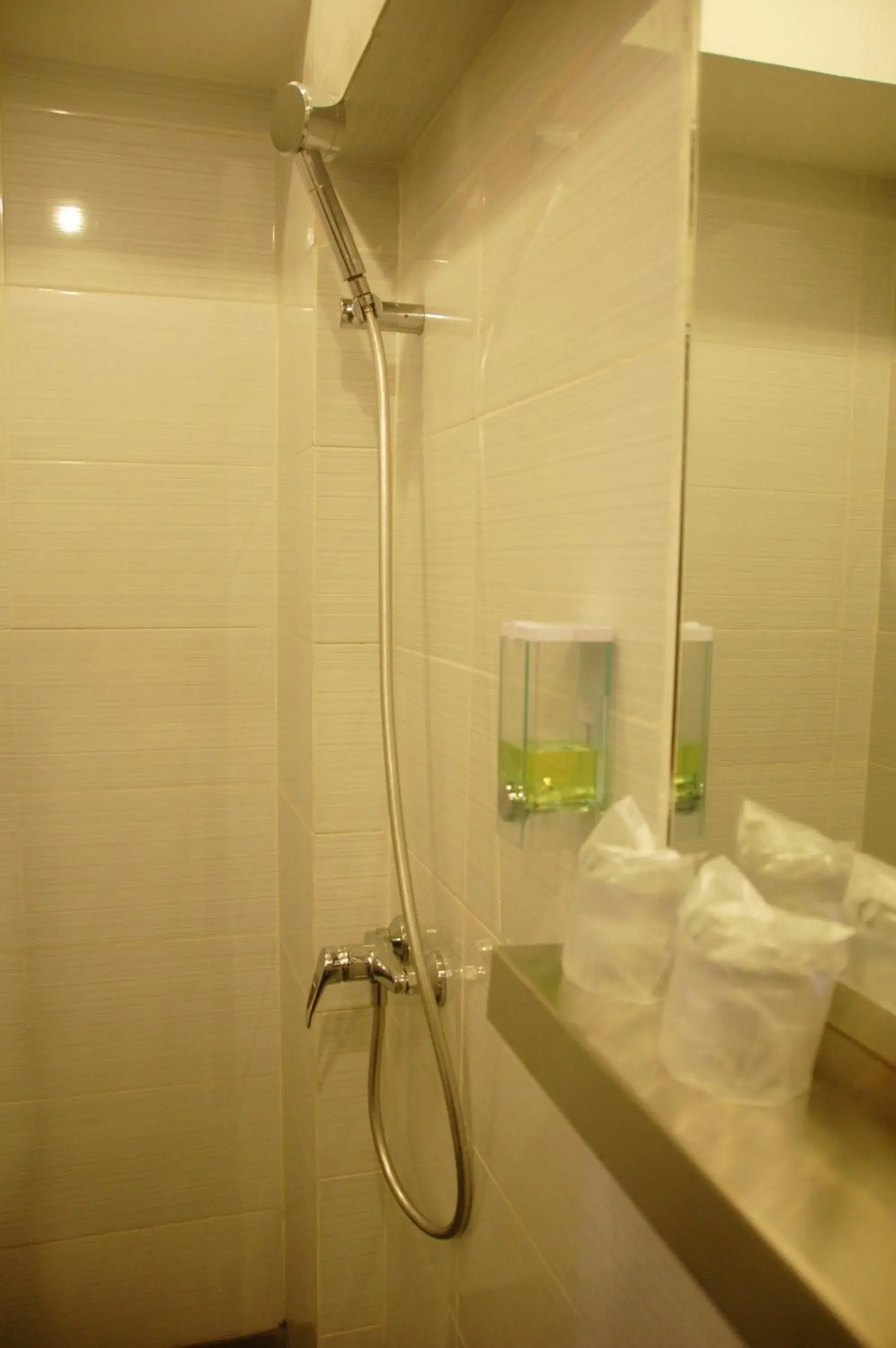 Shower, Bathroom in Gandhi Inn