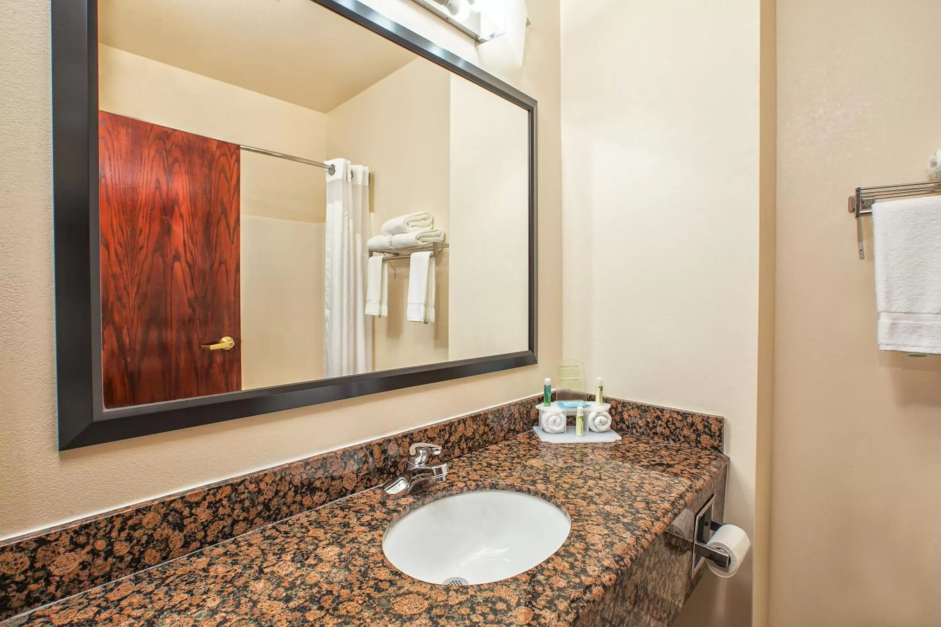 Bathroom in Holiday Inn Express Hotel and Suites Marysville, an IHG Hotel