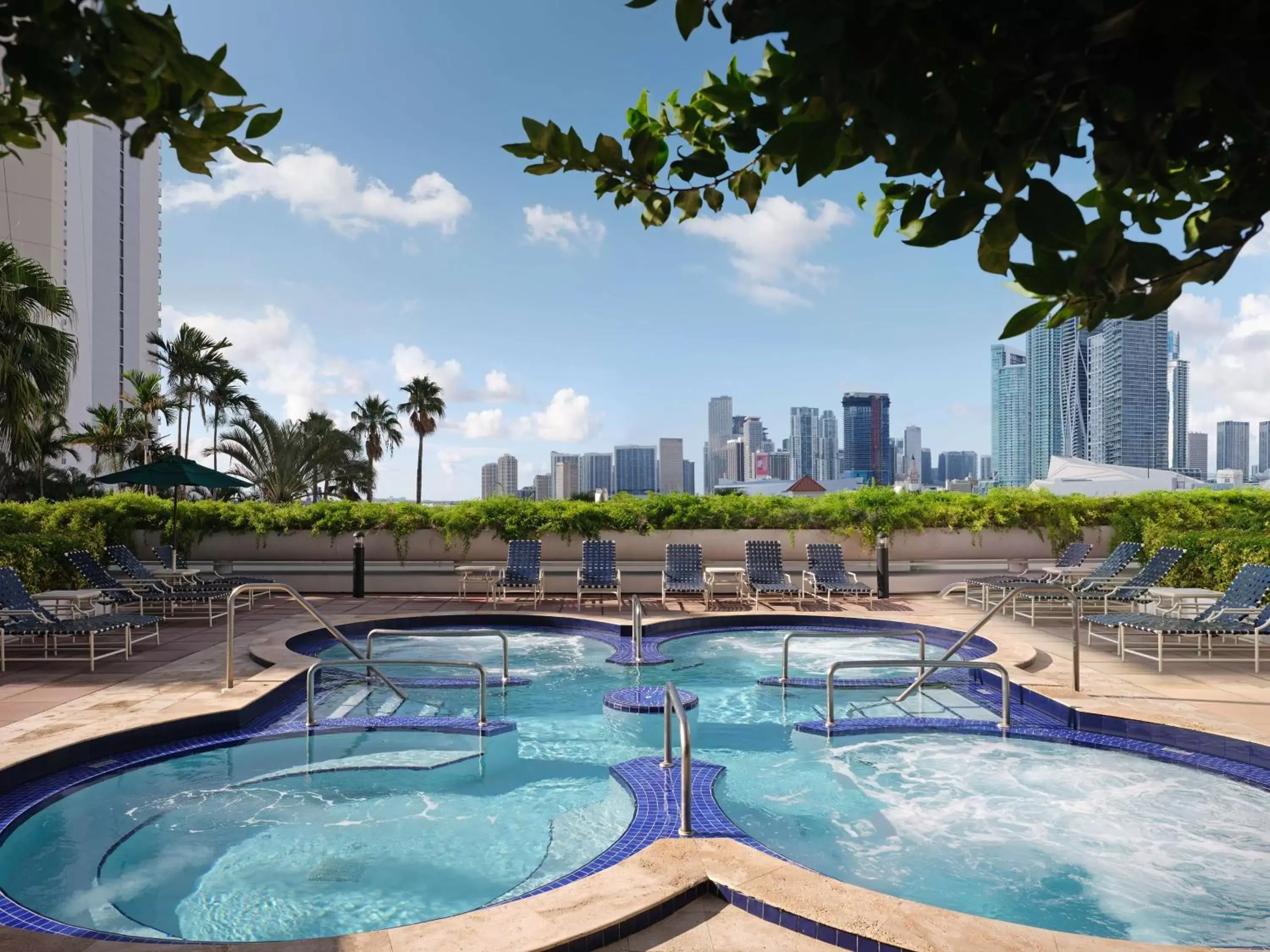 Hot Tub, Swimming Pool in DoubleTree by Hilton Grand Hotel Biscayne Bay