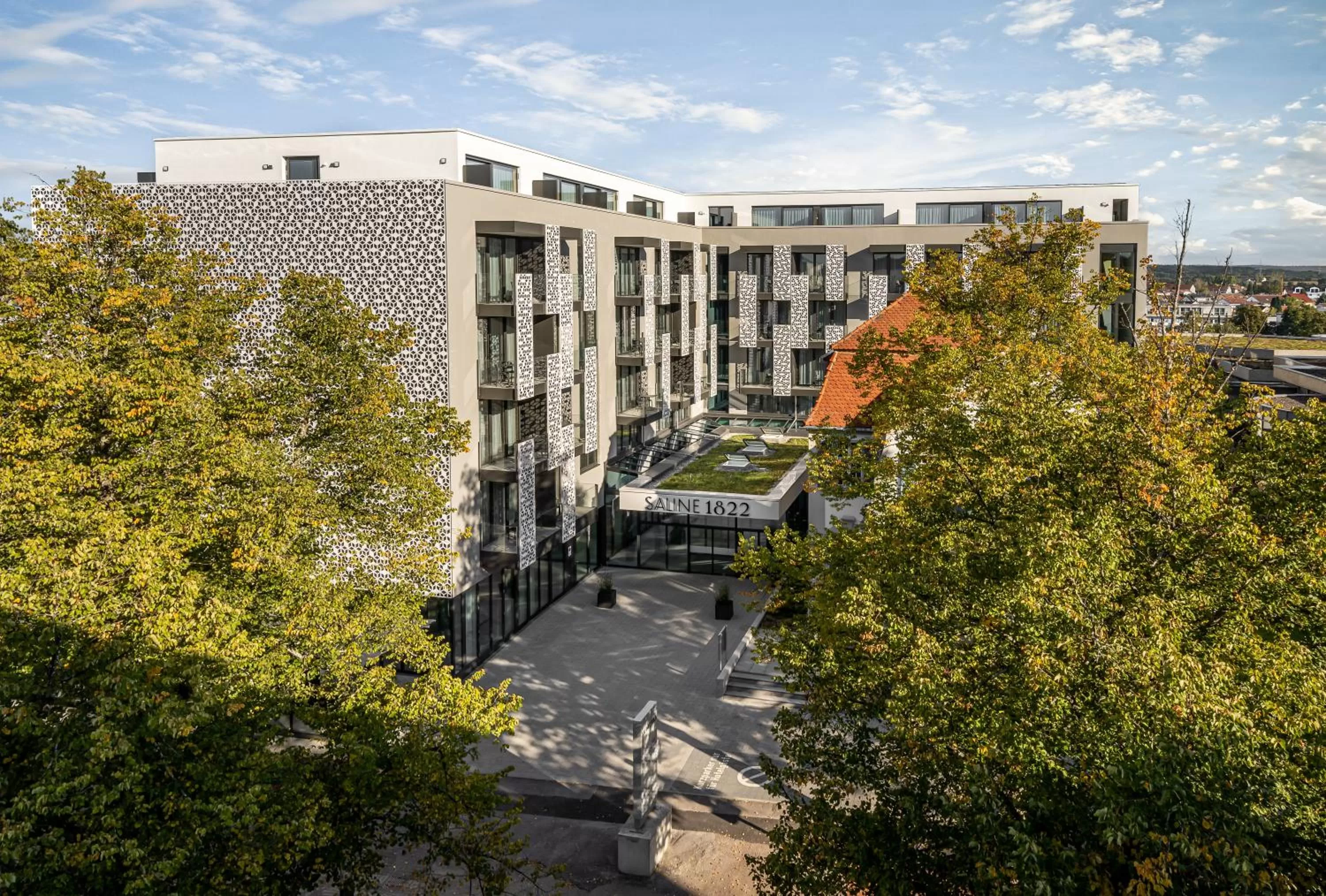 Bird's eye view in Saline1822