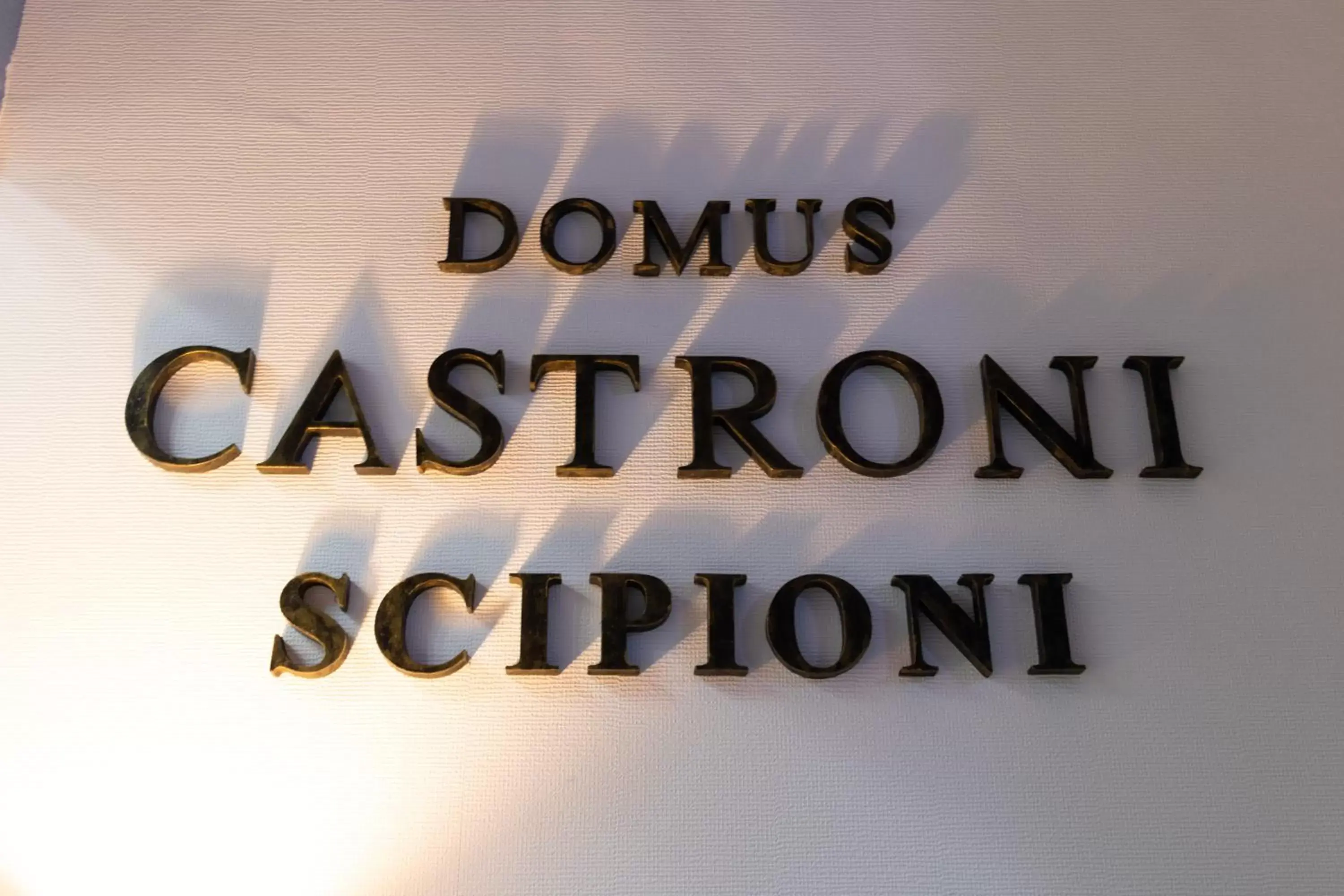 Logo/Certificate/Sign in Domus Castroni Scipioni