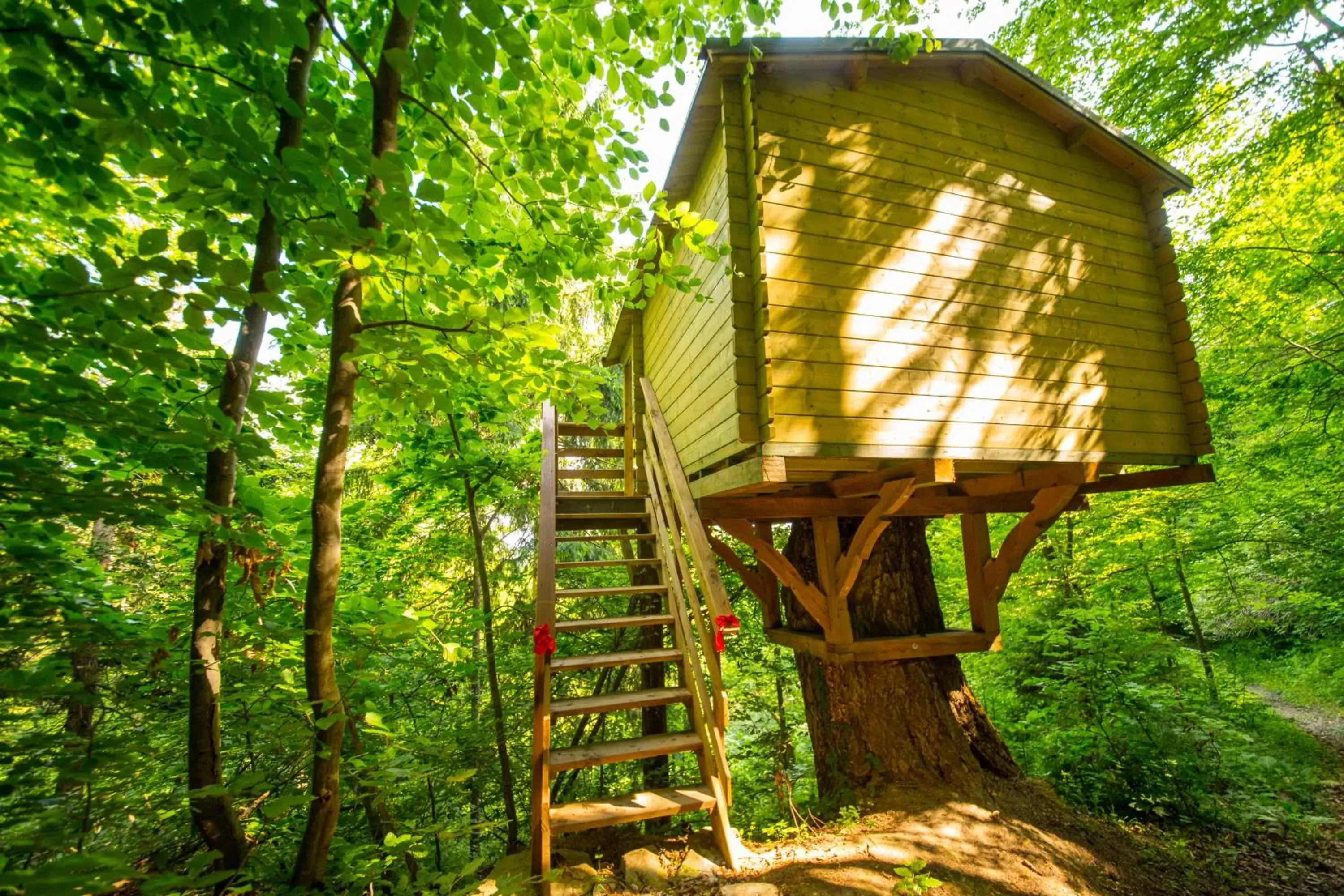 Double Room in Adventure Farm Double Room in Adventure Farm