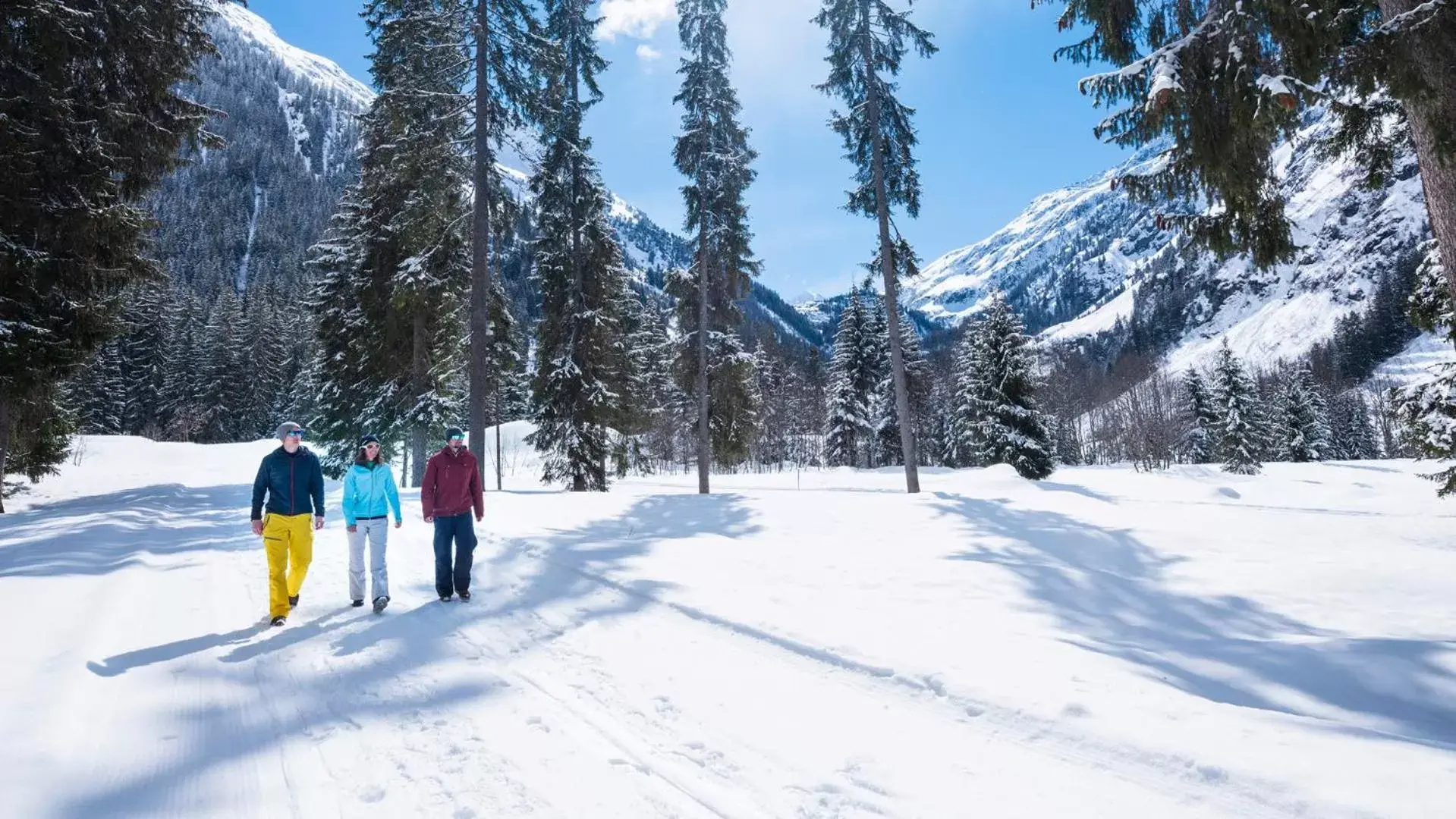 Winter, Skiing in Hotel Silvapina