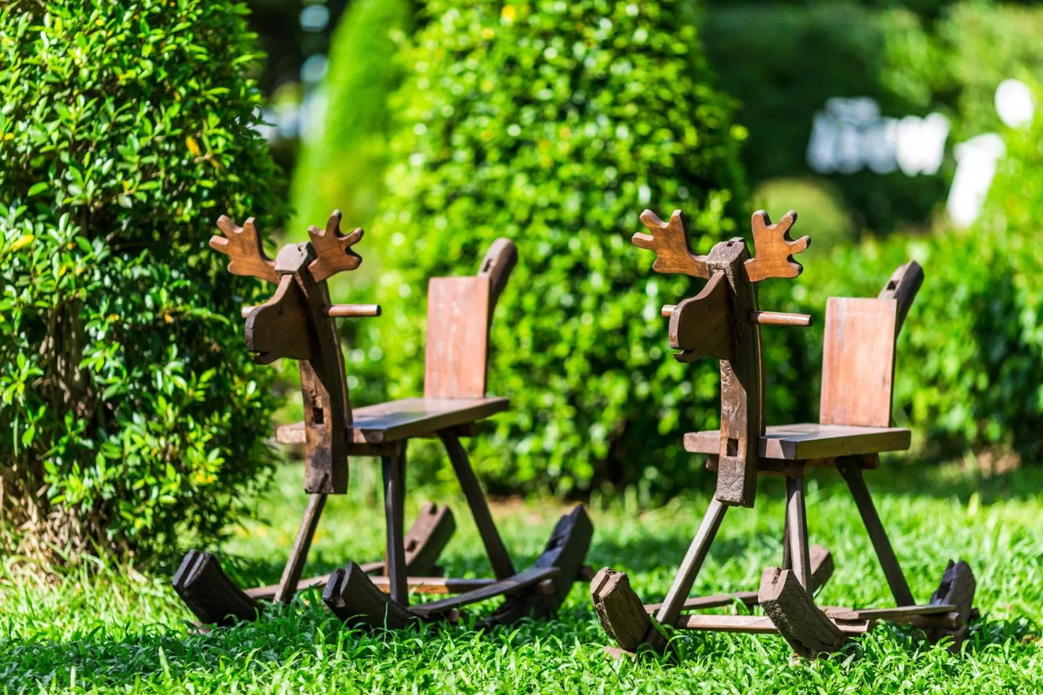 Garden in Ruan Kanchanok