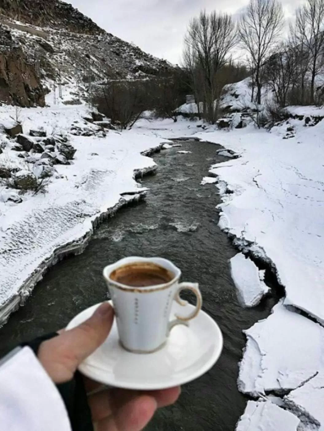 Winter in Katerina Palace 1877