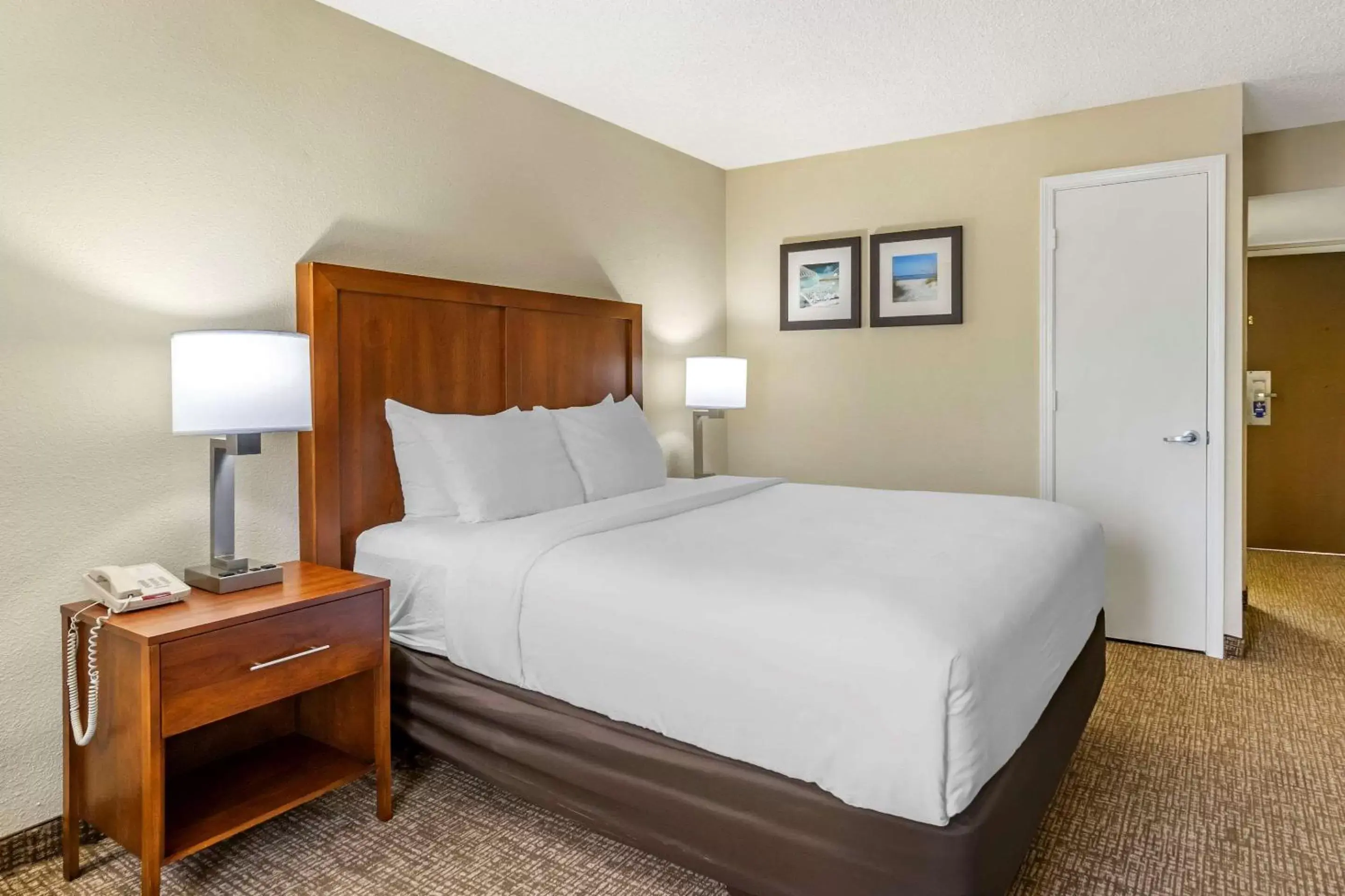 Photo of the whole room, Bed in Comfort Inn & Suites St Pete - Clearwater International Airport