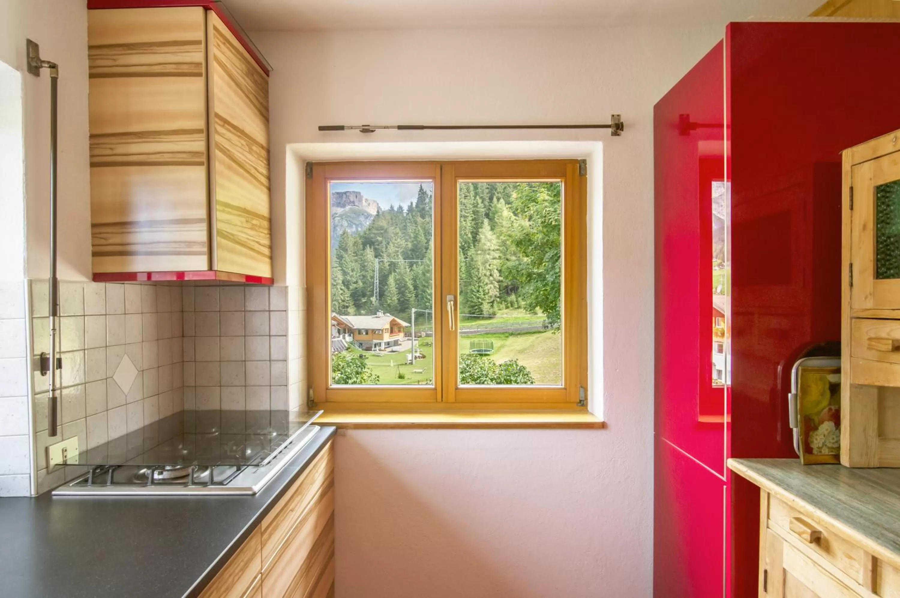 Communal kitchen in Villa Insam