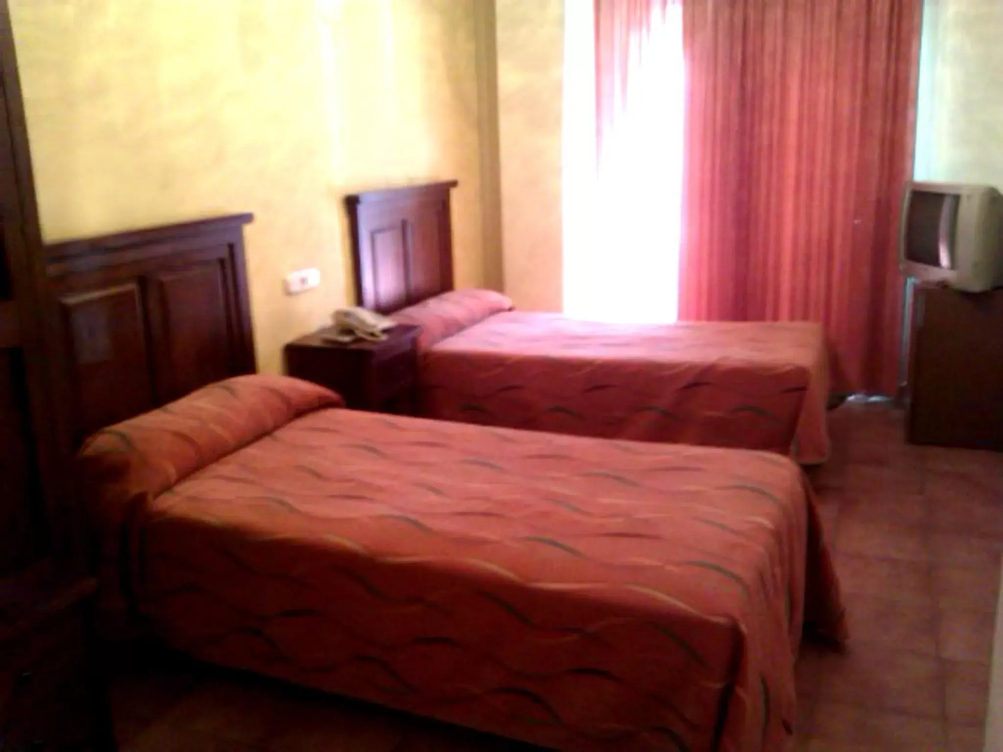 Bed in Coso Viejo