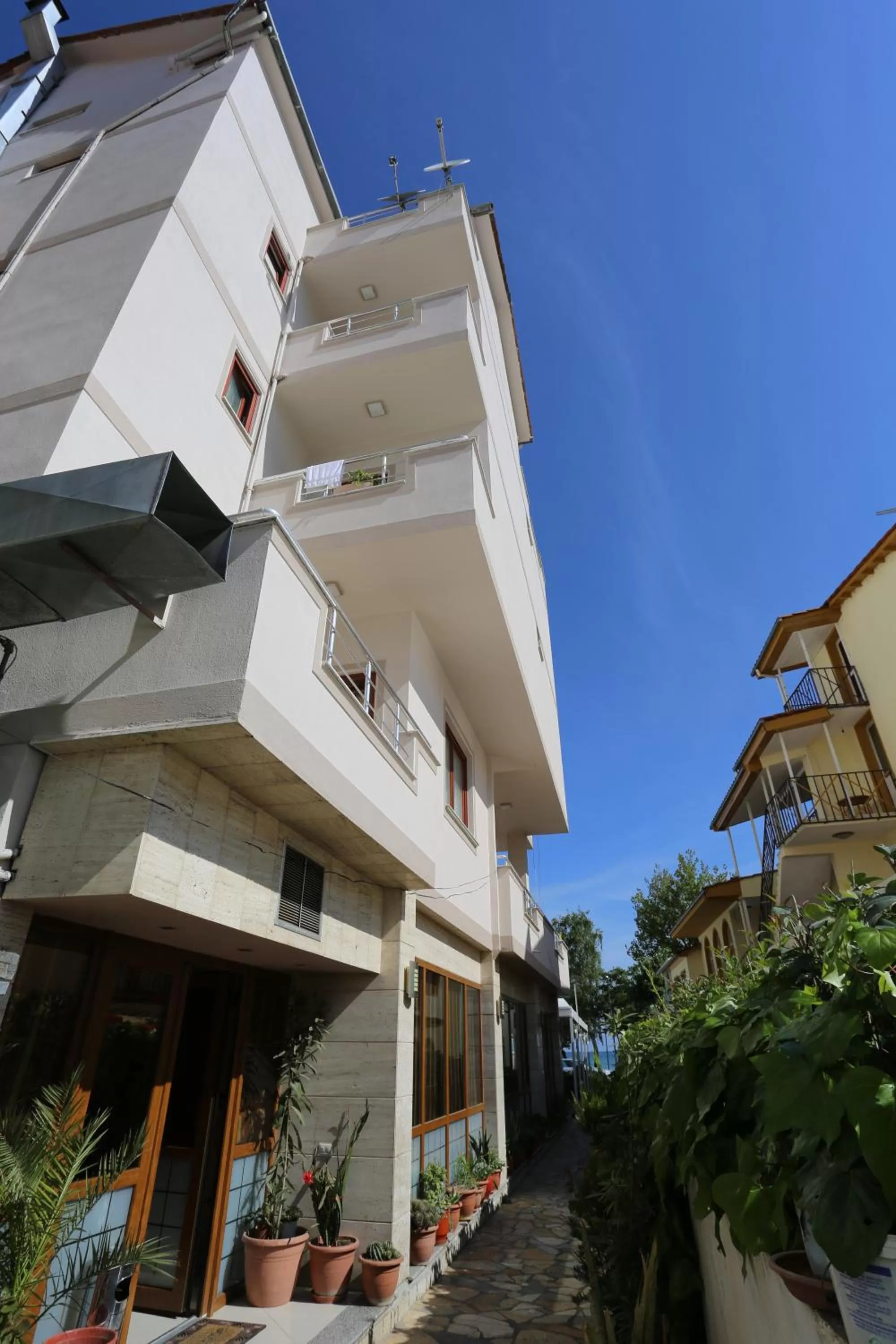 Area and facilities in Guesthouse Bimbli