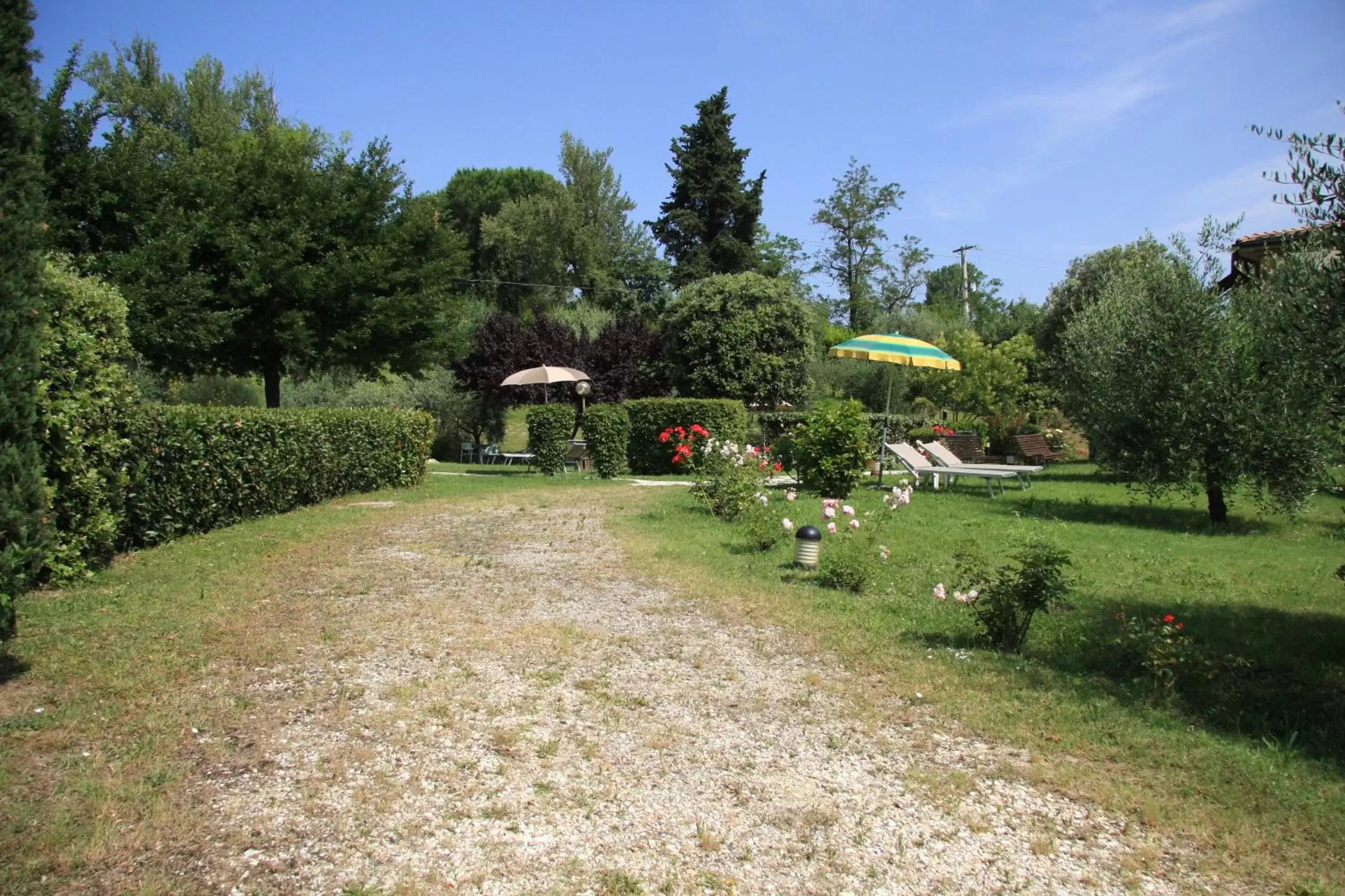 Garden in Hotel Sovestro