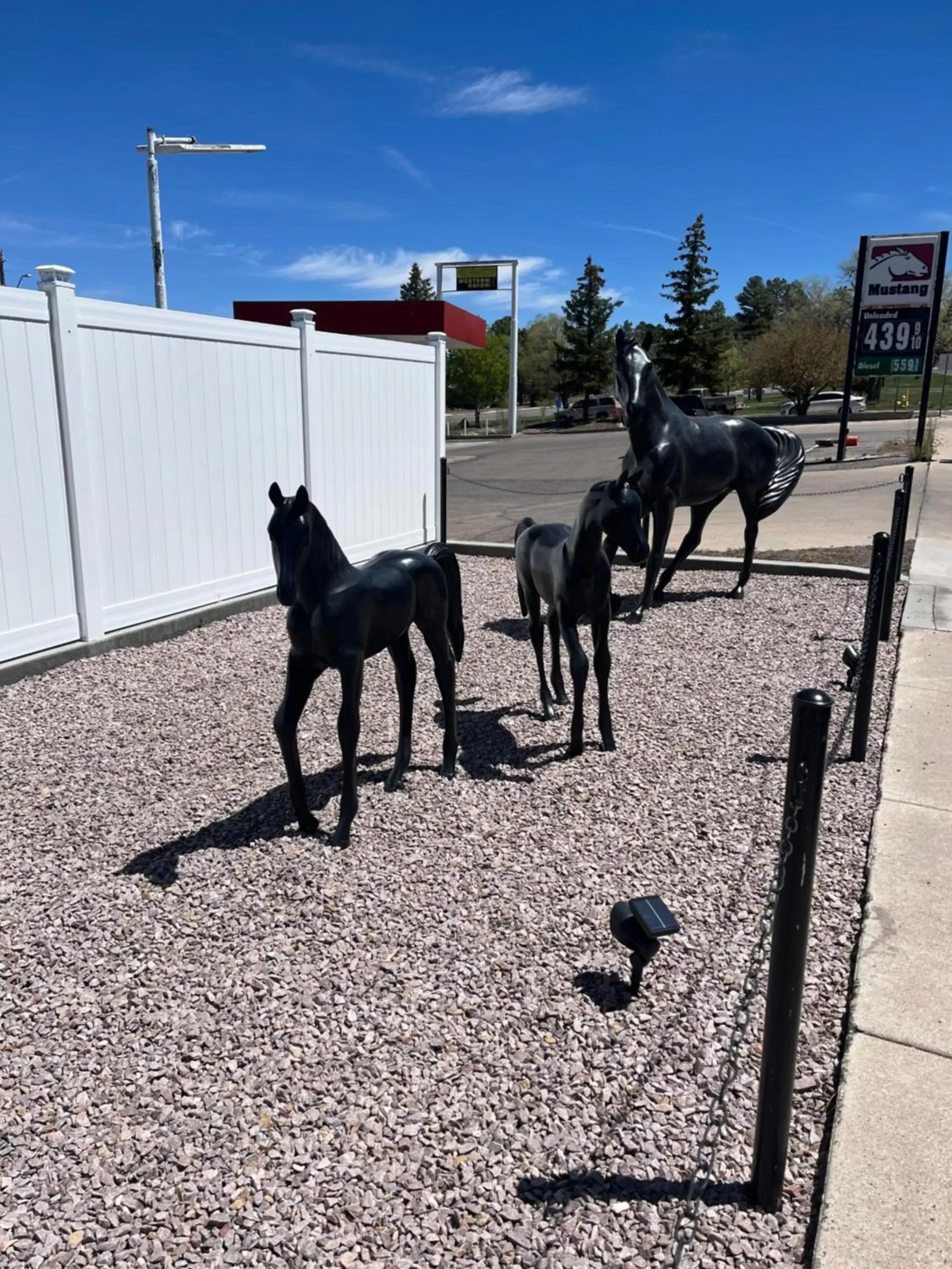 Day, Other Animals in El Rancho Motel