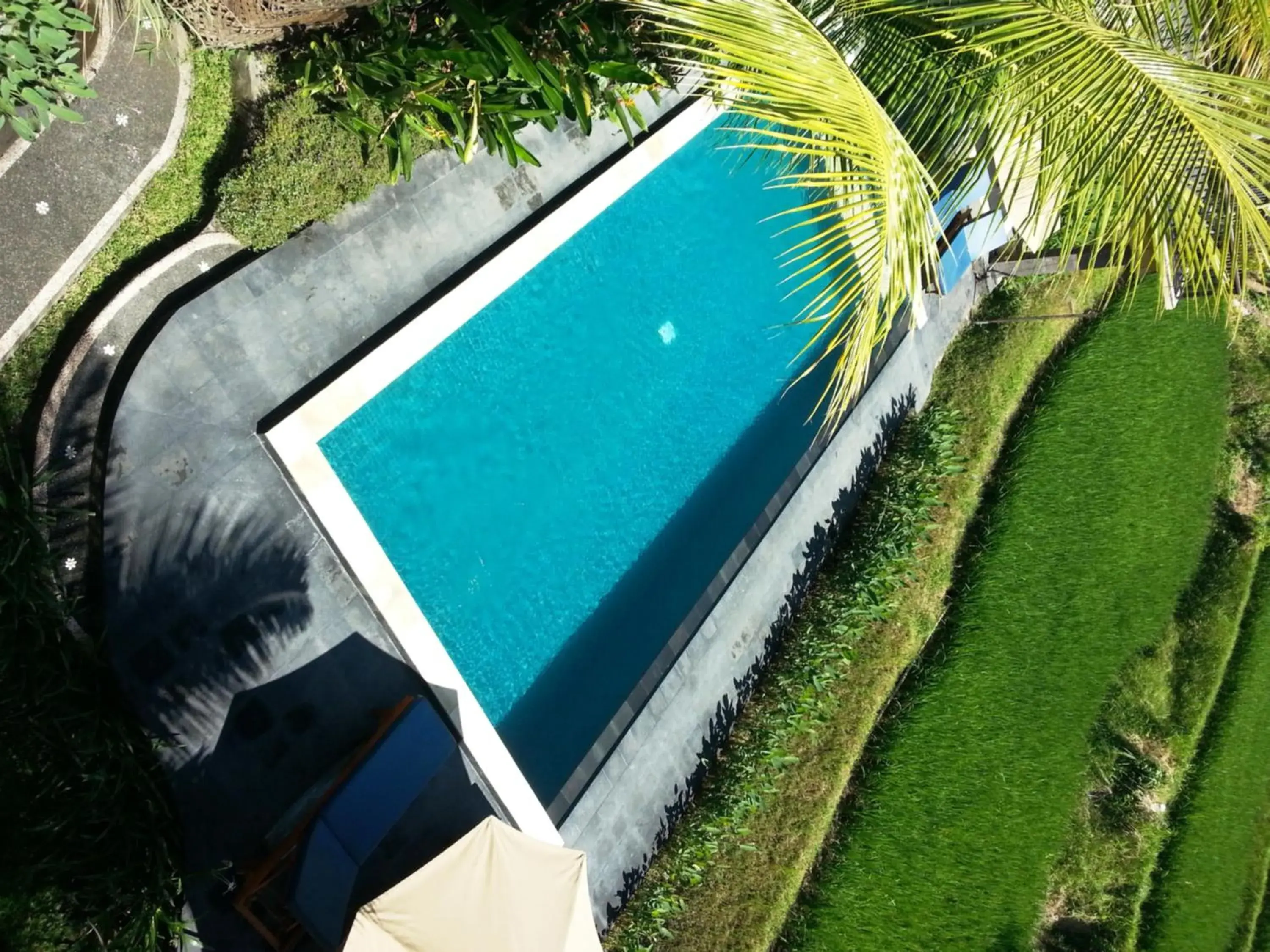 View (from property/room), Pool View in Biyukukung Suite & Spa