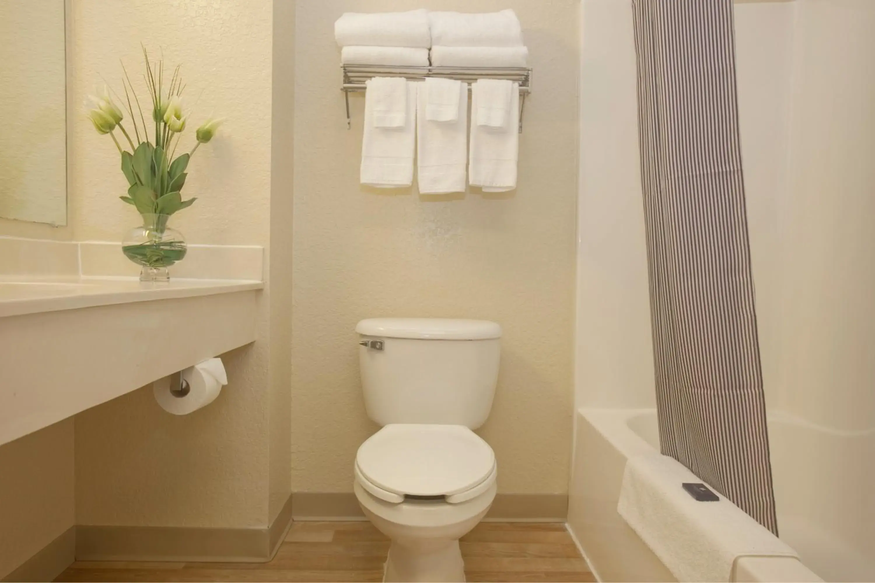 Bathroom in Extended Stay America Select Suites - Roanoke - Airport