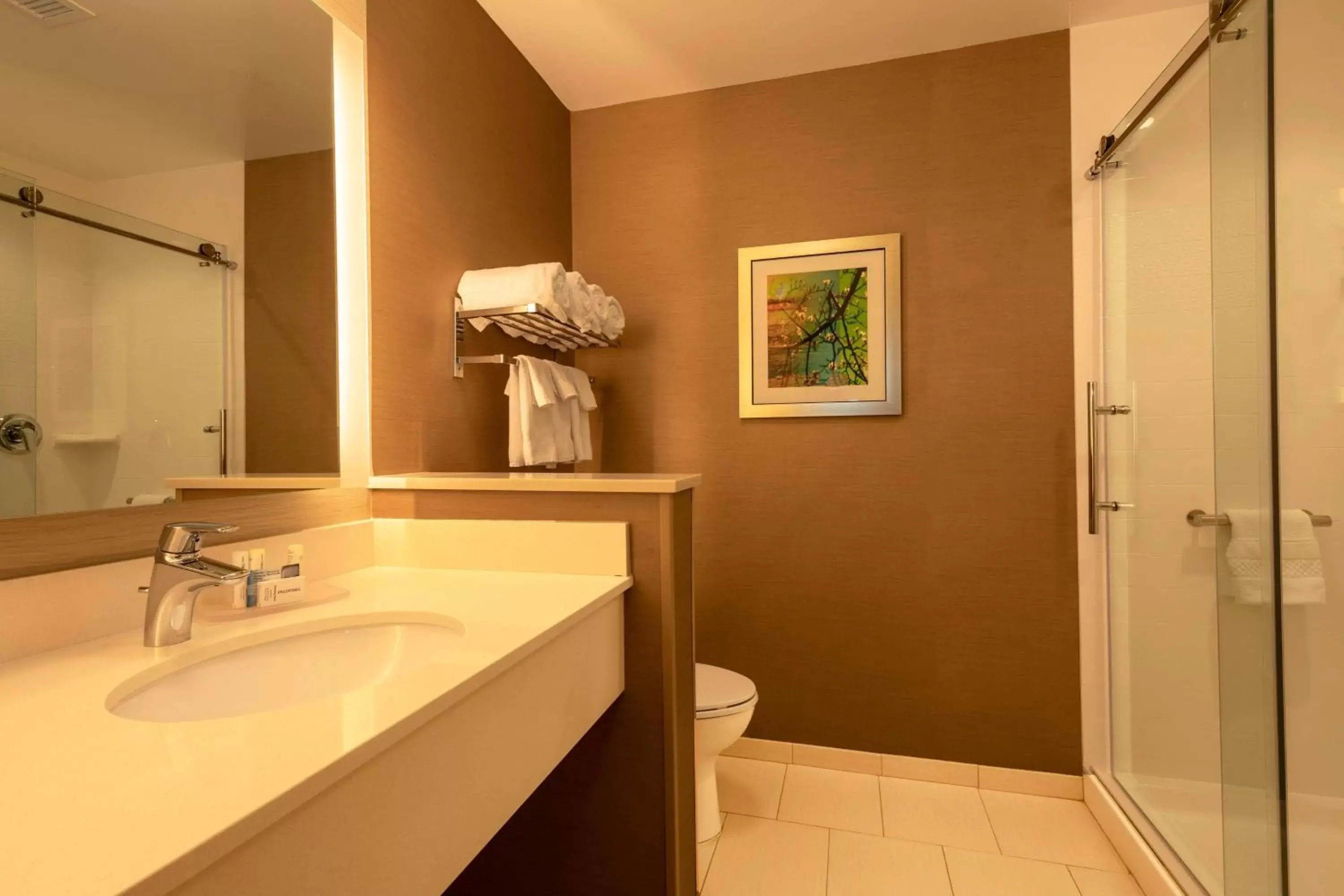 Bathroom in Fairfield Inn & Suites by Marriott Chillicothe