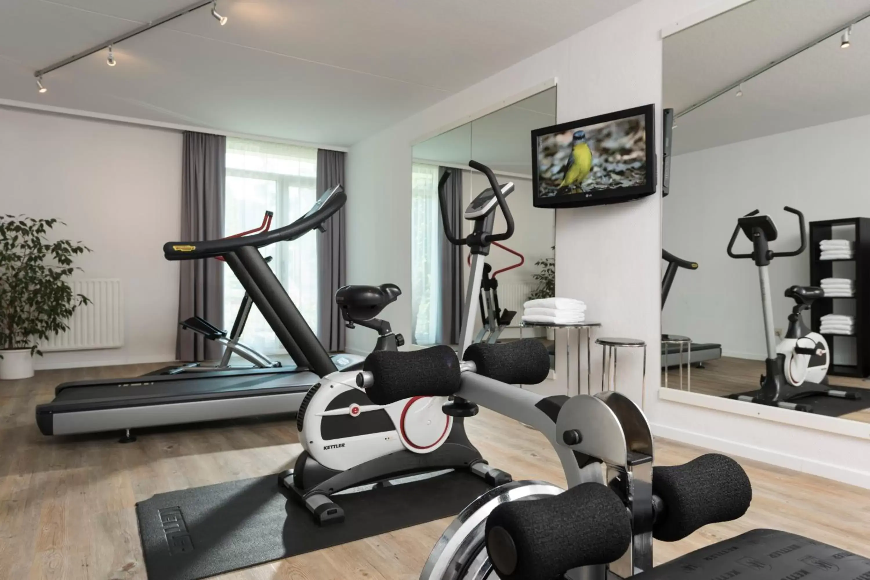 Fitness centre/facilities, Fitness Center/Facilities in Wyndham Garden Kassel