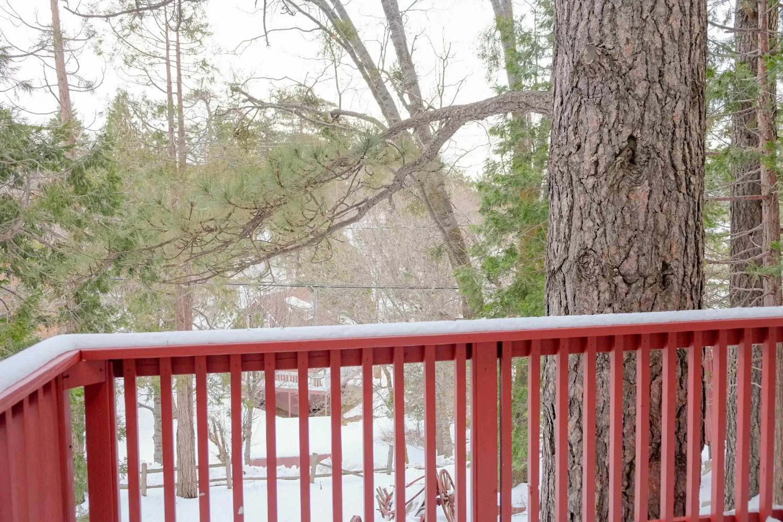 Day, Balcony/Terrace in Sherwood Arms Motel