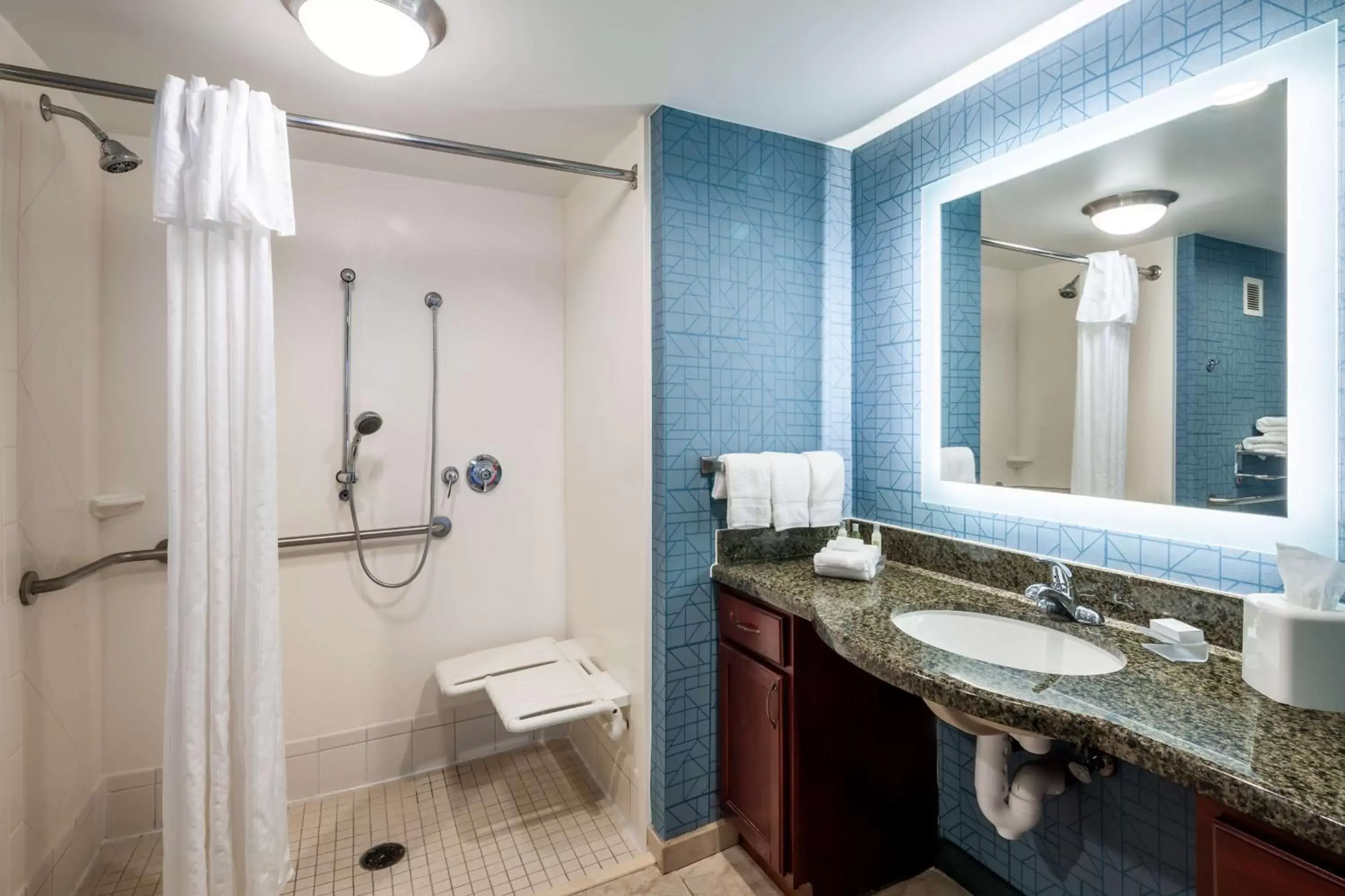 Bathroom in Homewood Suites by Hilton Gainesville