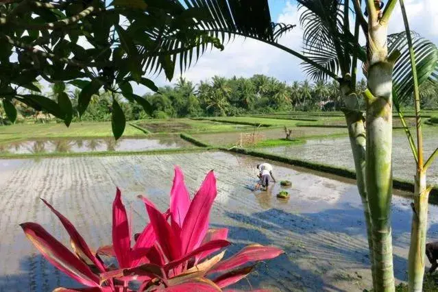 View (from property/room), Natural Landscape in Bali Harmony Villa