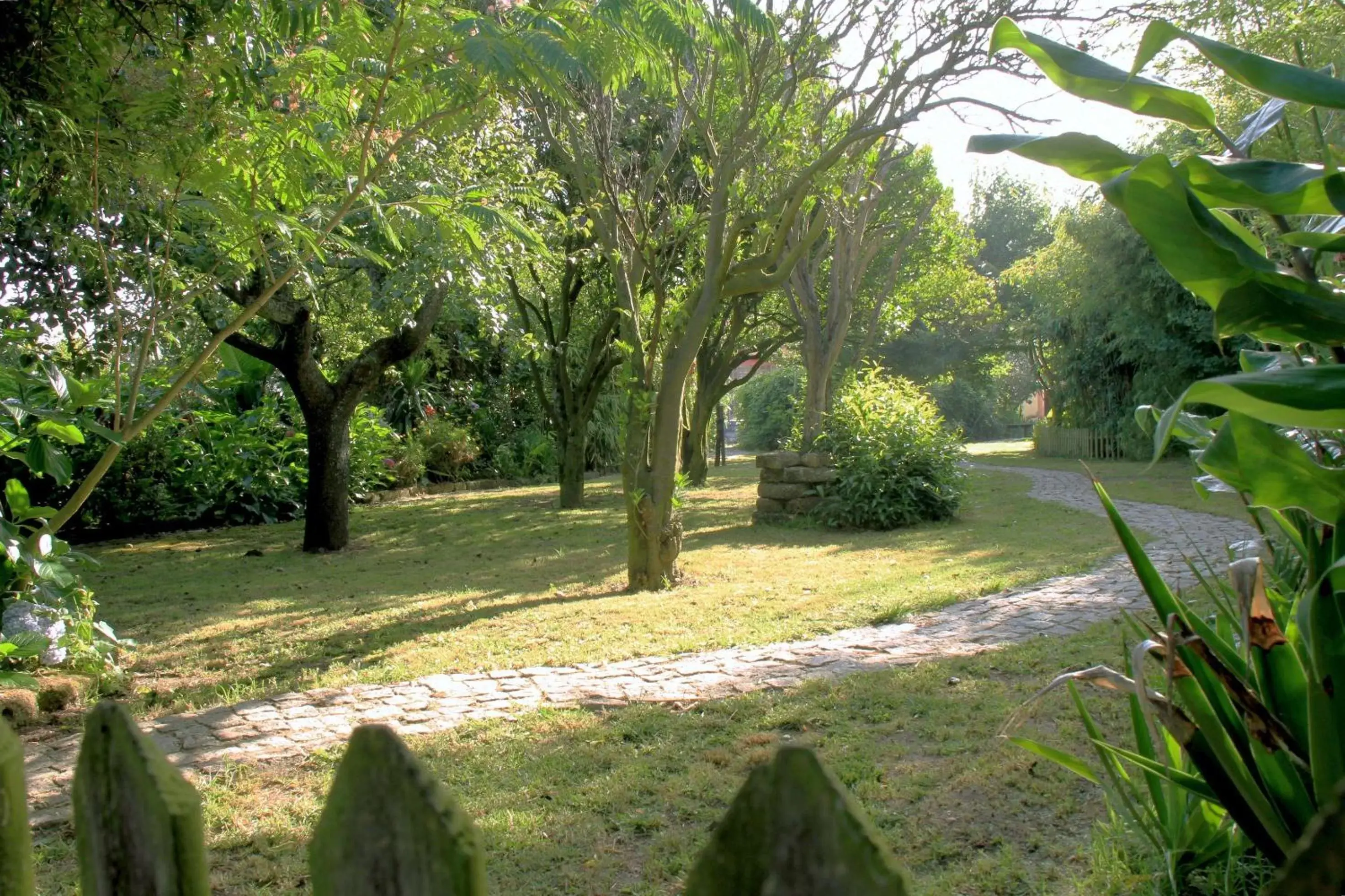 Garden in Casa 3 Águias