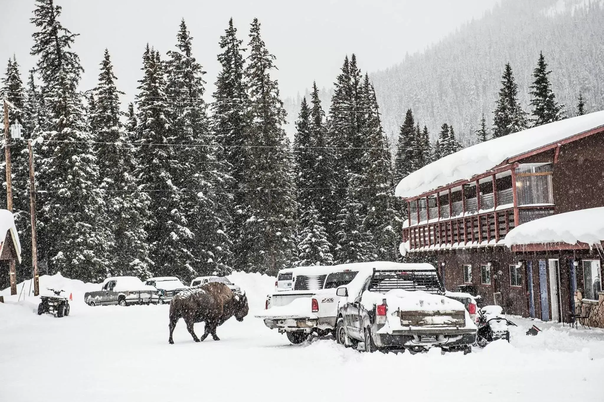 Winter in High Country Motel and Cabins