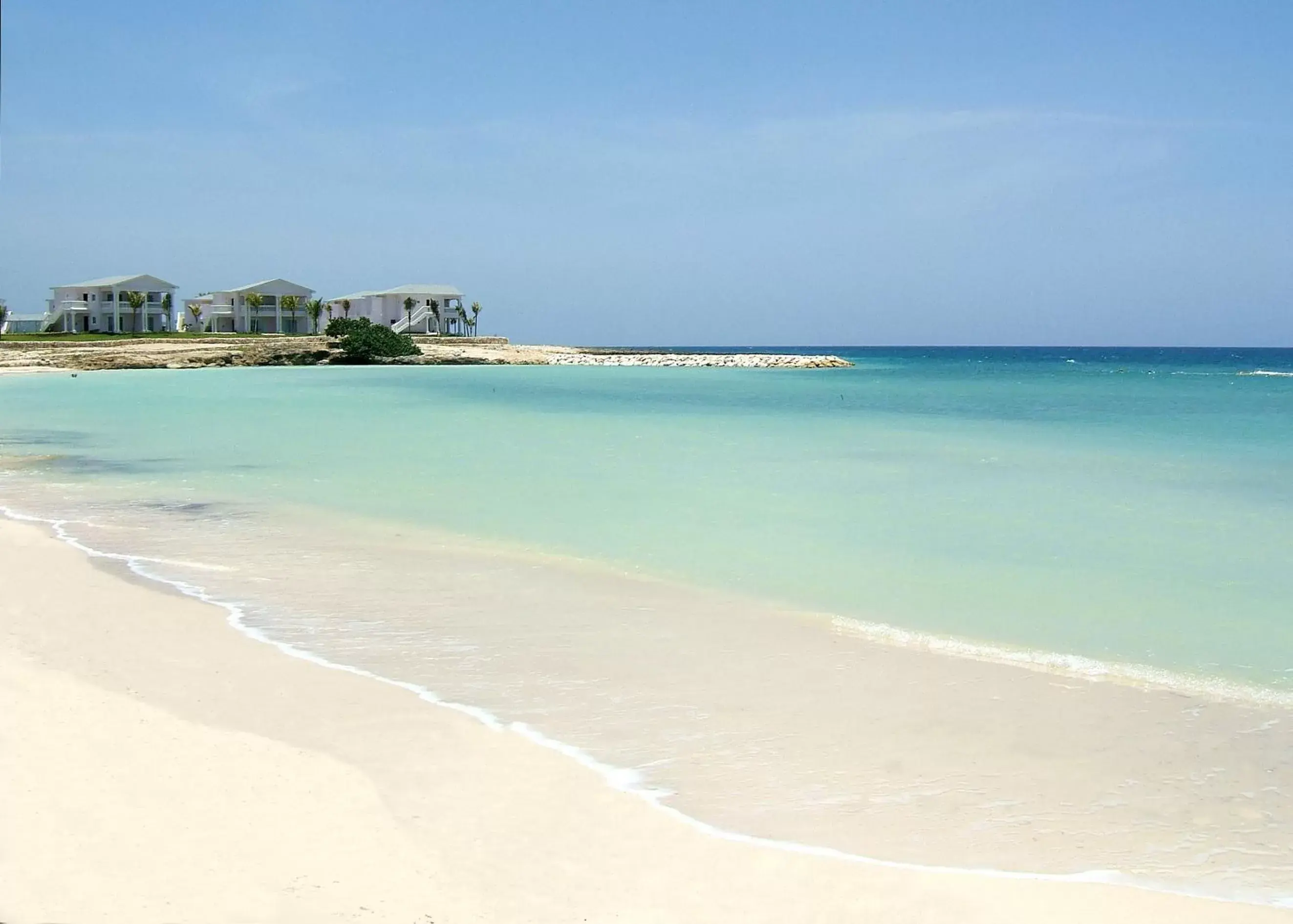 Natural landscape, Beach in Grand Palladium Jamaica Resort & Spa All Inclusive