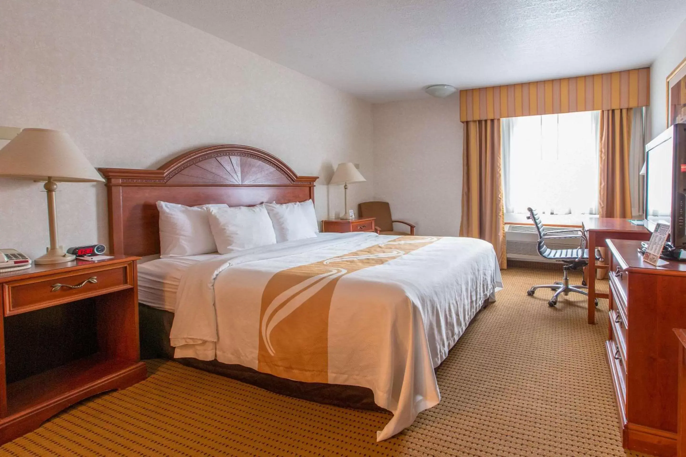 Photo of the whole room, Bed in Quality Inn & Suites - University