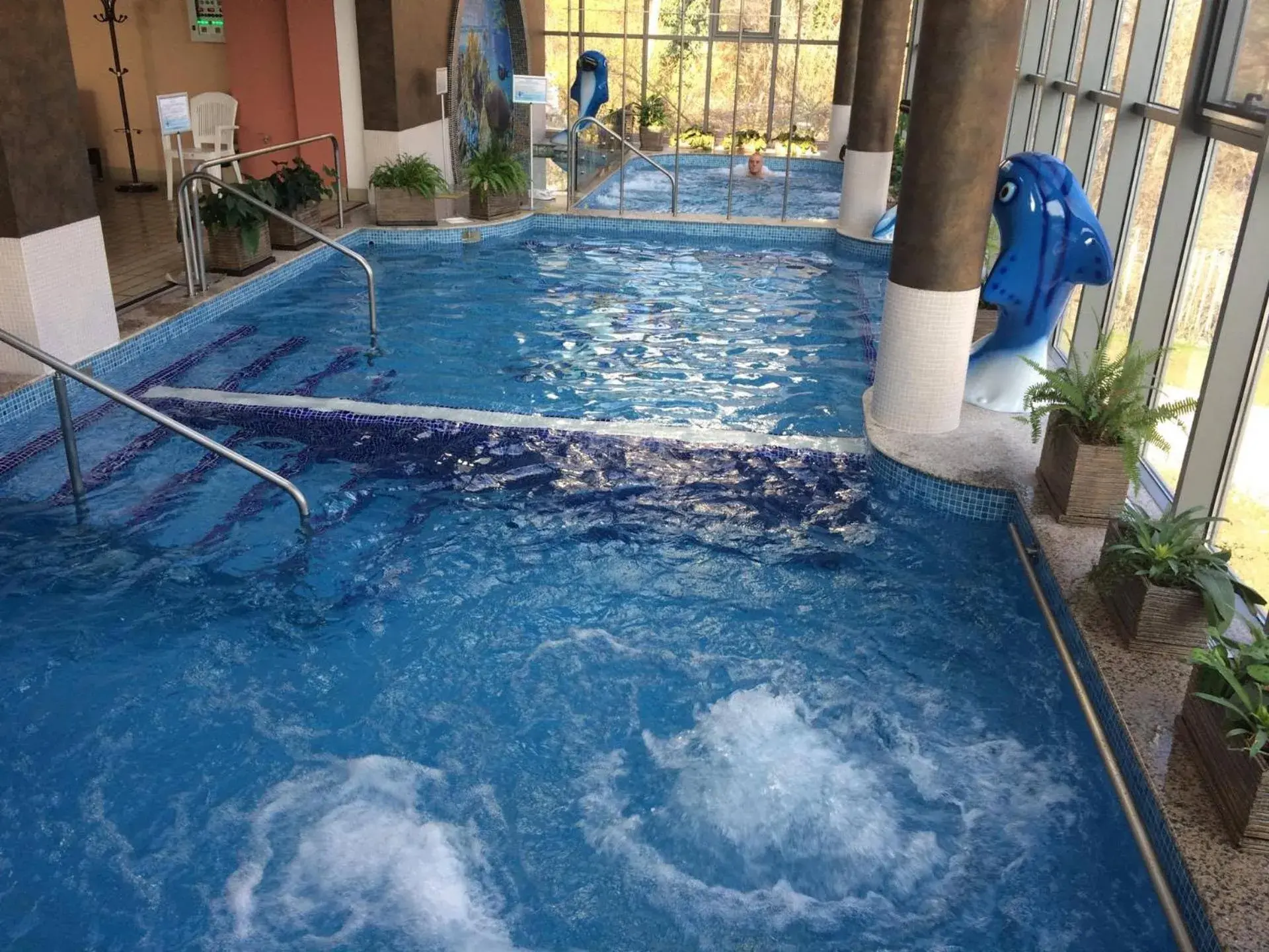 Swimming Pool in Hissar Spa Hotel