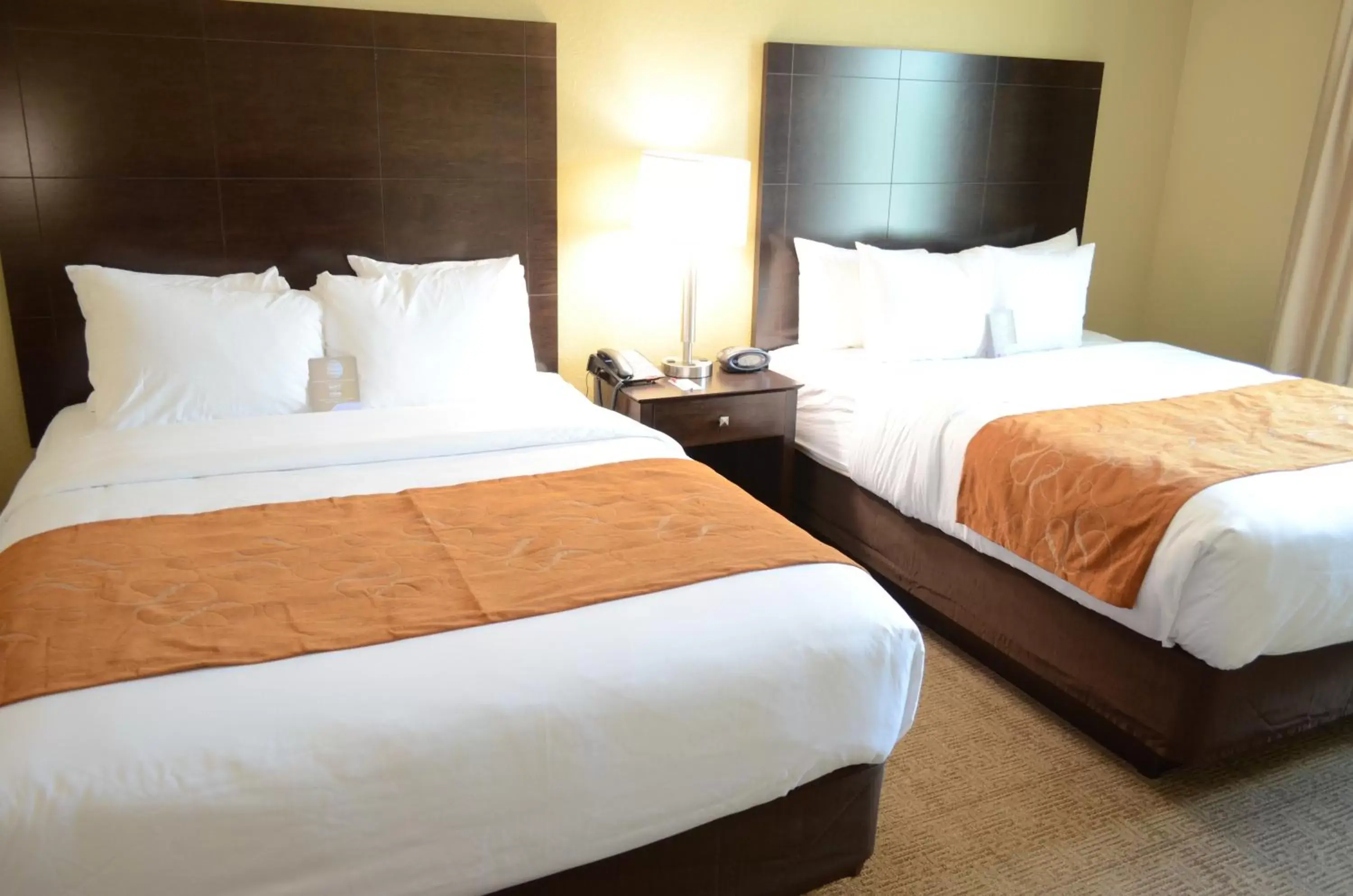 Suite with Two Queen Beds - Accessible/Non-Smoking in Comfort Suites Houston Northwest Cy-Fair