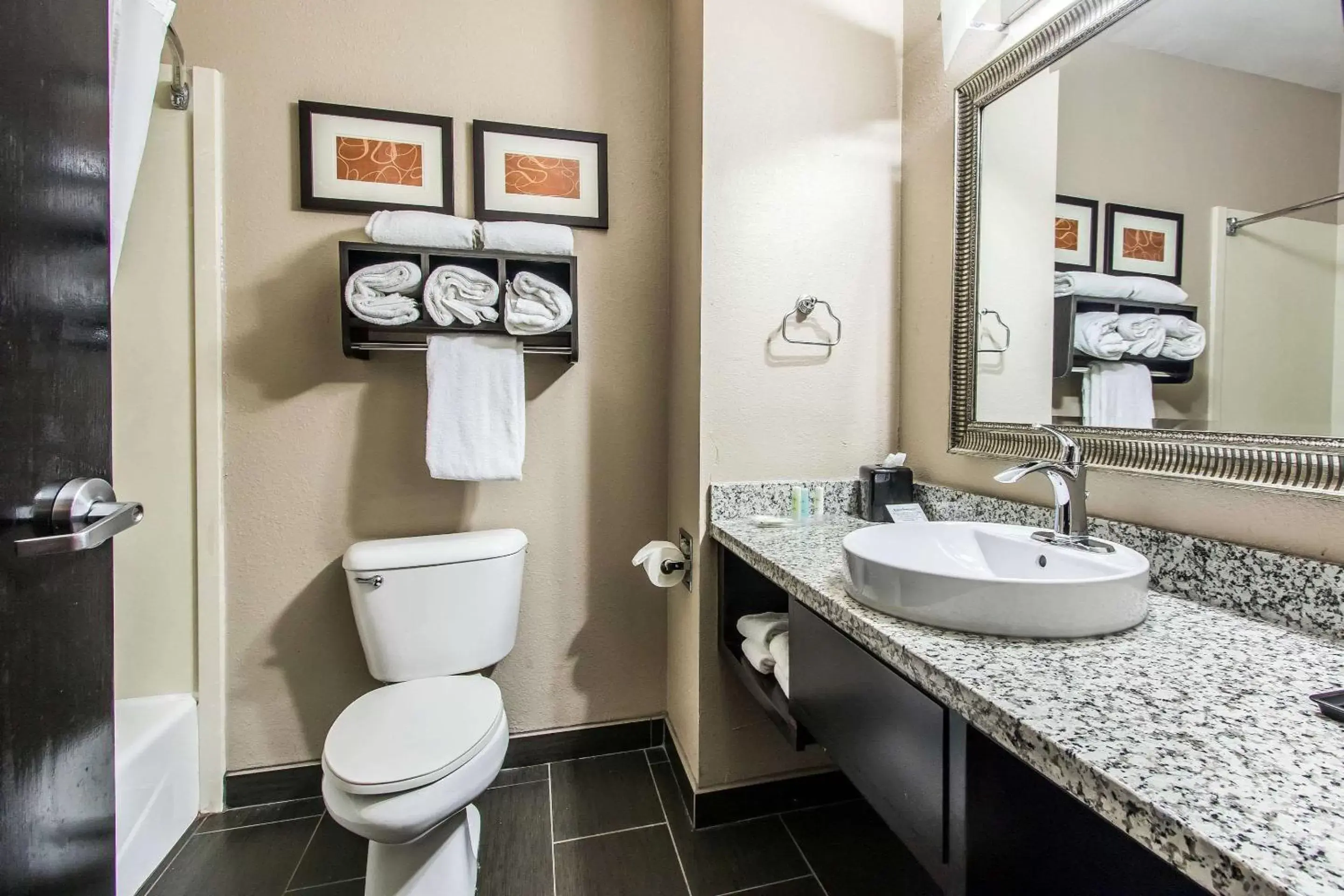 Bathroom in Comfort Suites Fairgrounds West