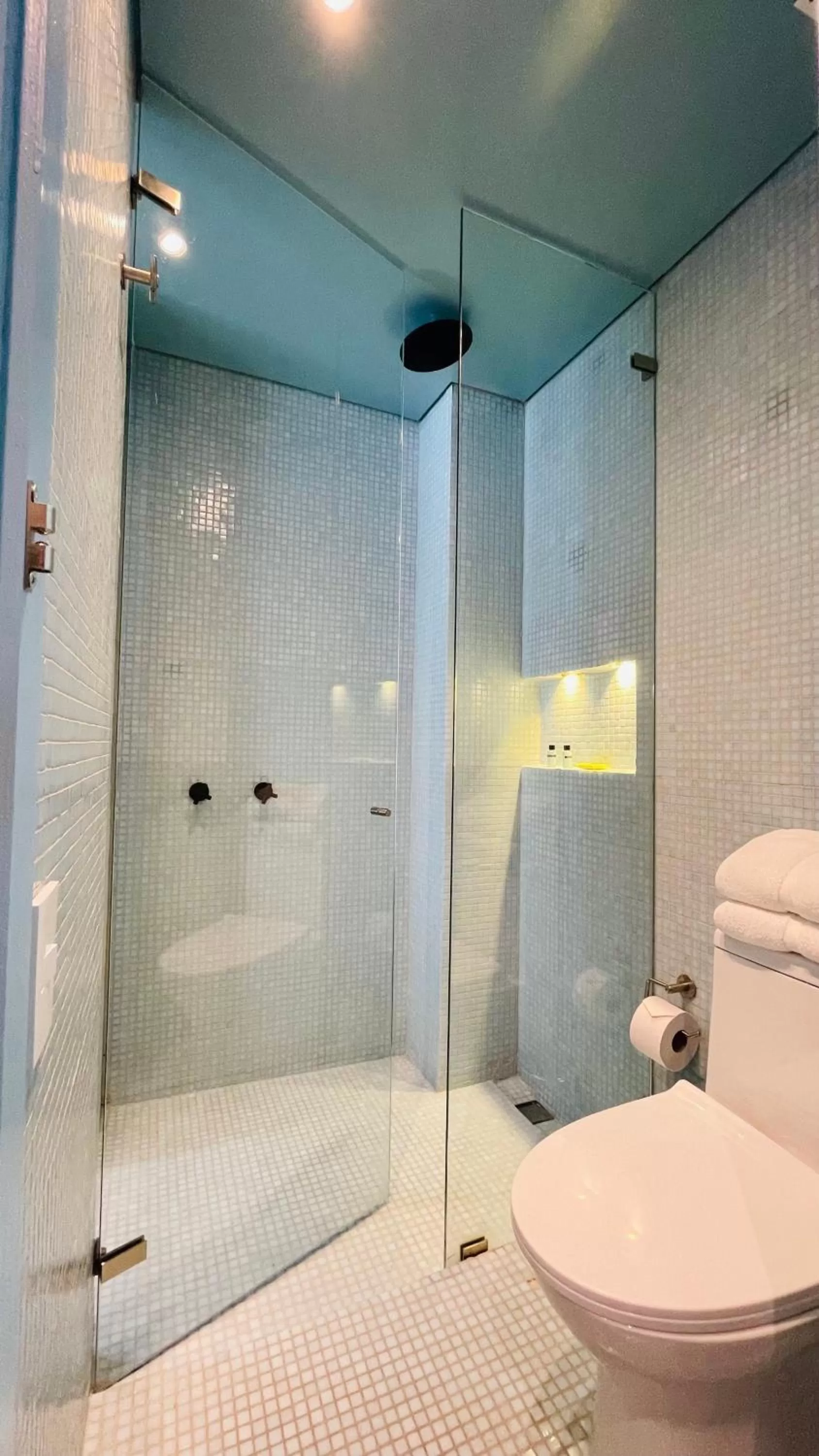 Bathroom in Grace Chapinero