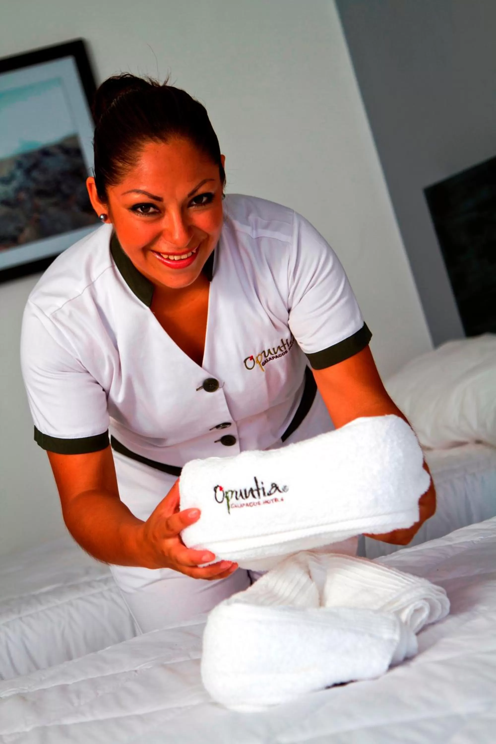 Staff, Bed in Hotel Volcano