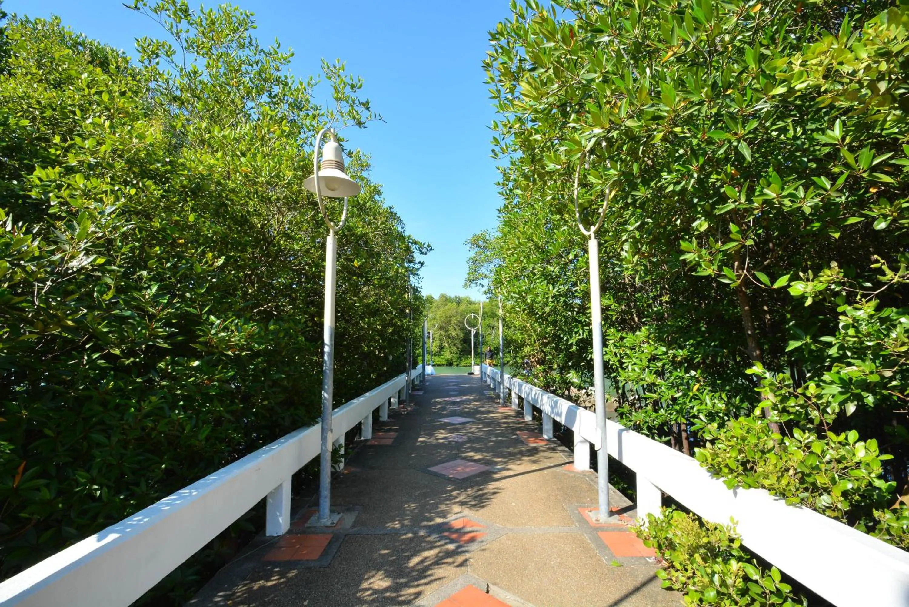 Natural landscape in Good Night Pool Villa Phuket - SHA Plus