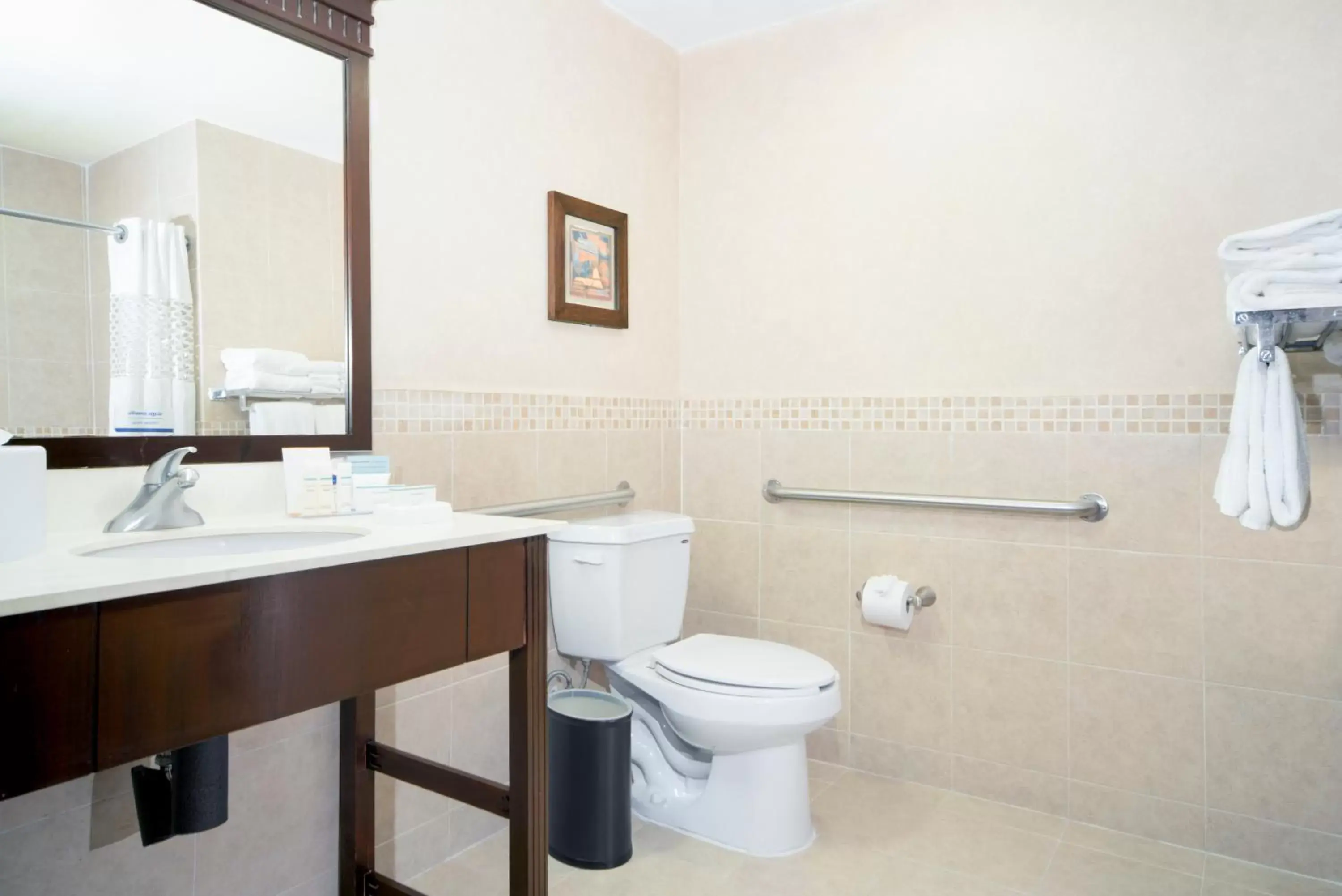 Bathroom in Hampton Inn & Suites Mexico City - Centro Historico