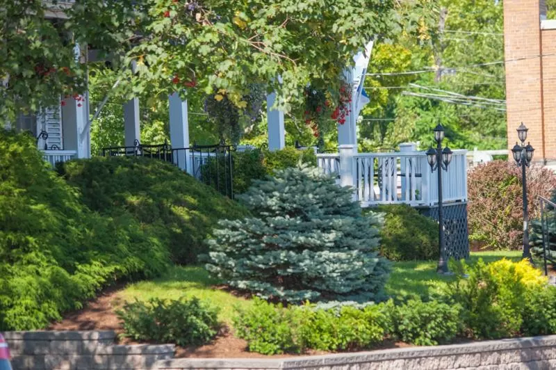 Garden in Telegraph House Motel