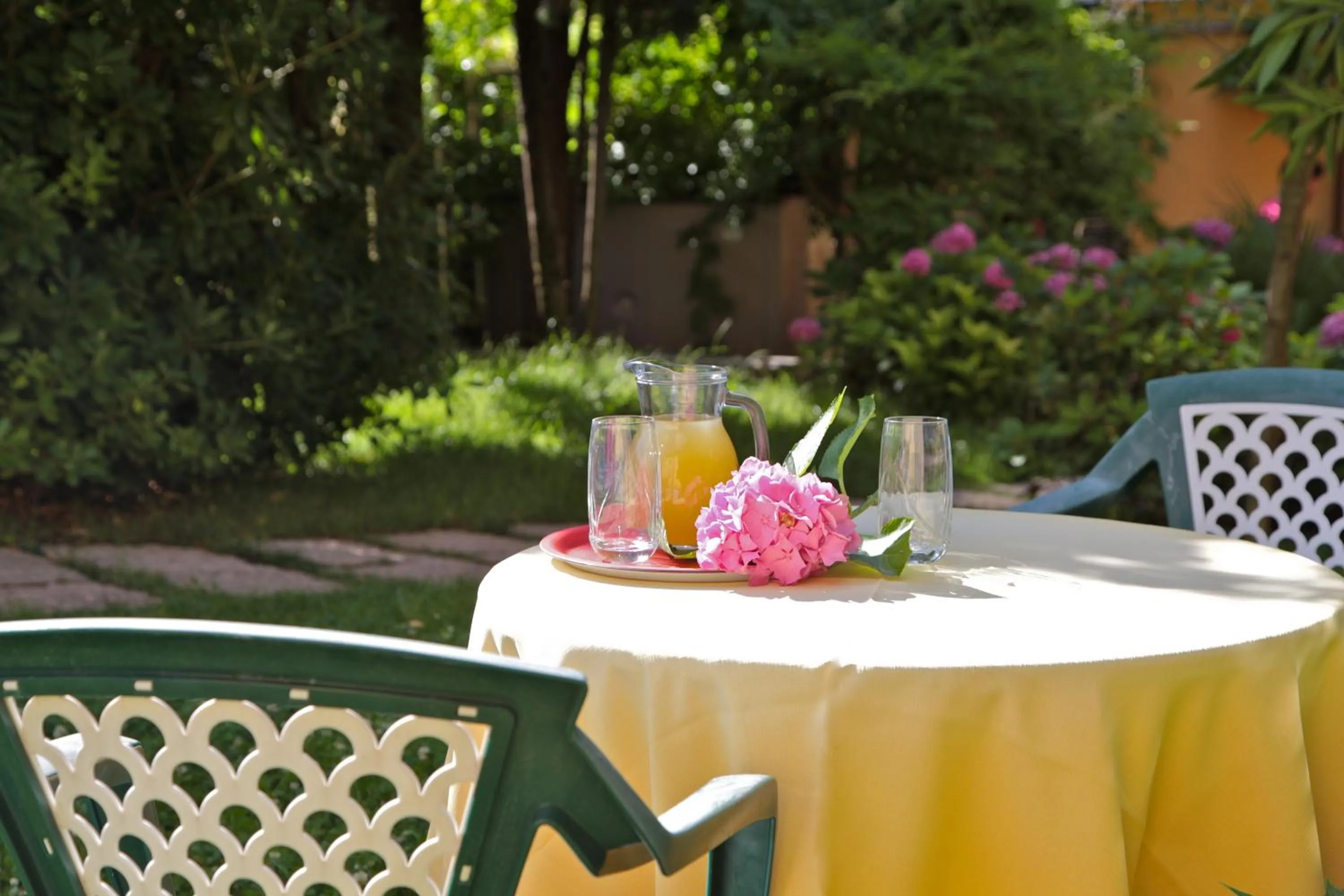 Garden in Hotel San Filis
