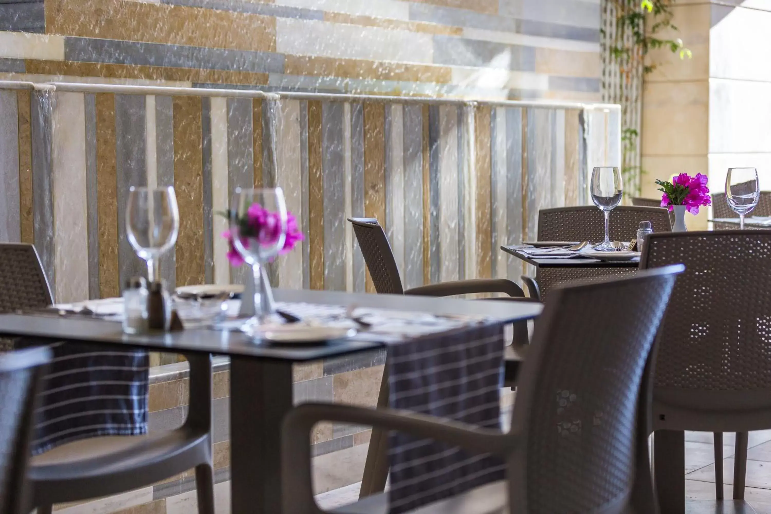 Restaurant/places to eat in Hotel Ideon Restaurant/places to eat in Hotel Ideon