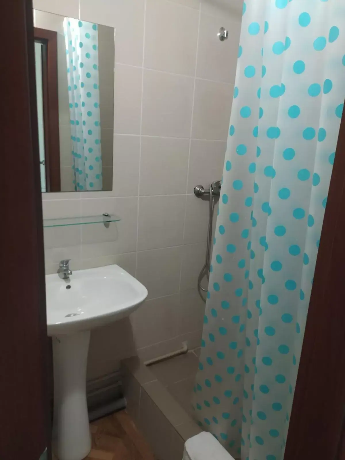 Double Room with Terrace in Zelenyi Kampus Double Room with Terrace in Zelenyi Kampus