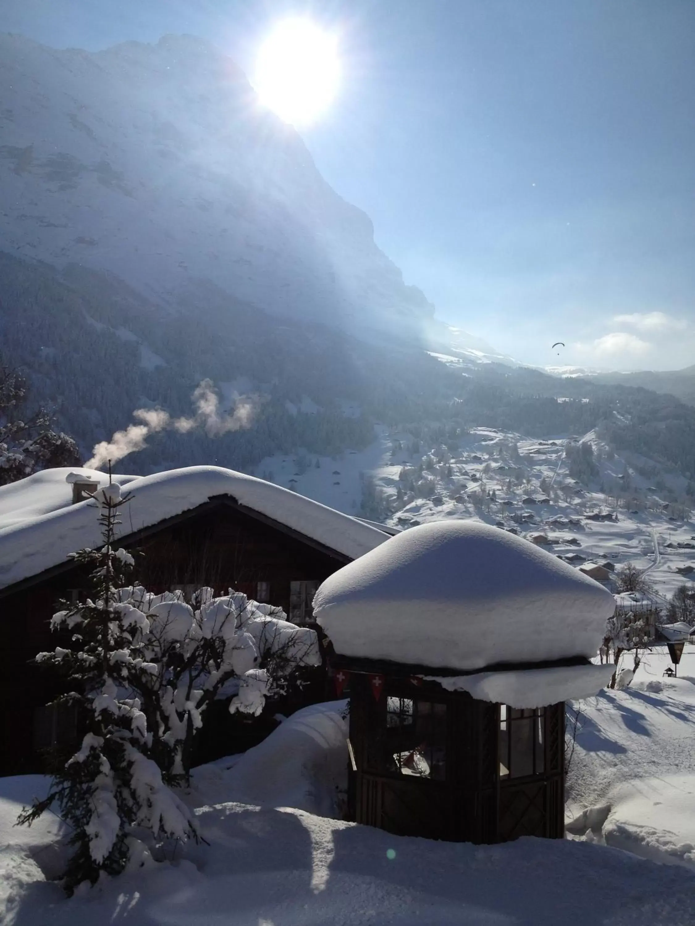 Area and facilities, Winter in Hotel Caprice - Grindelwald