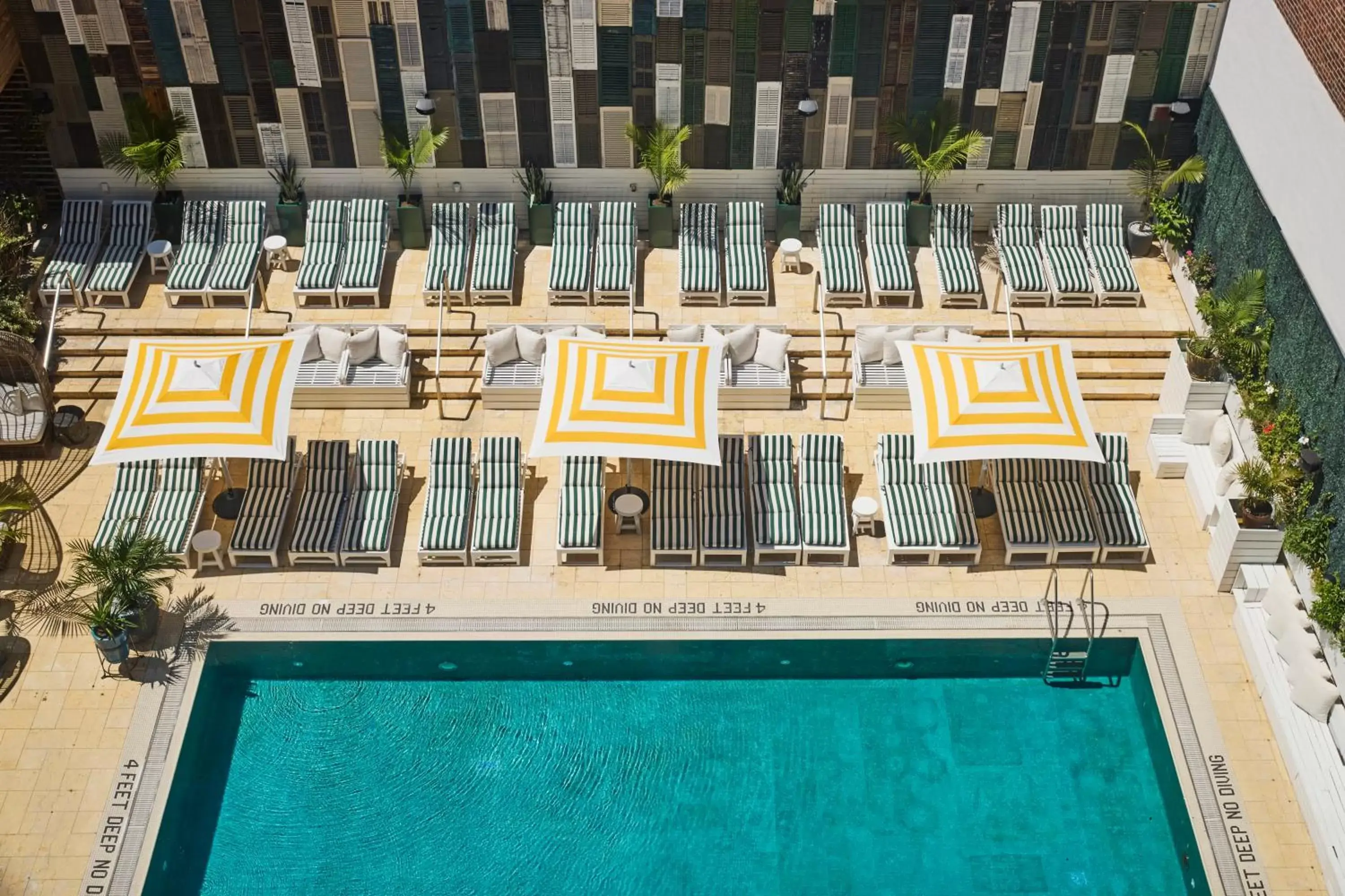 Swimming pool, Pool View in CODA Williamsburg