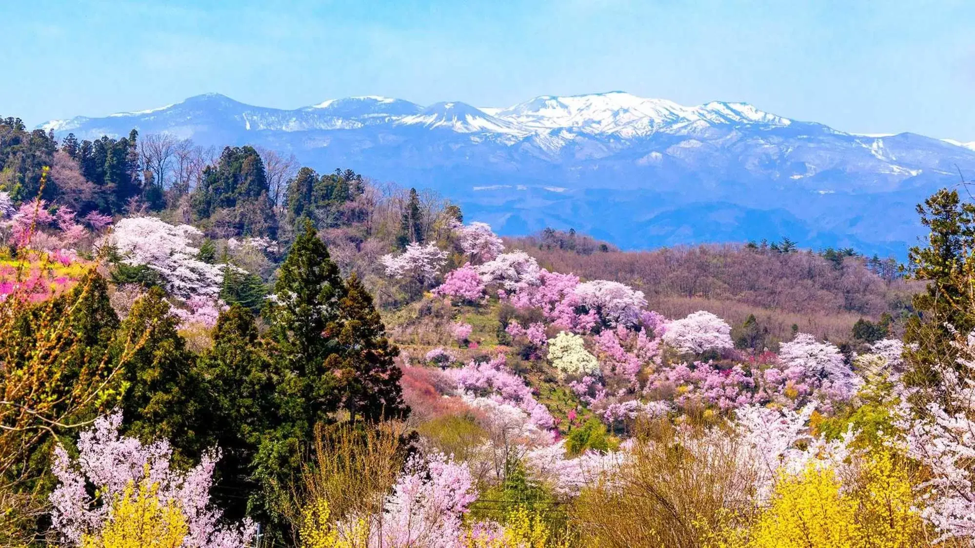 Nearby landmark, Mountain View in Toyoko Inn Fukushima eki Nishi guchi