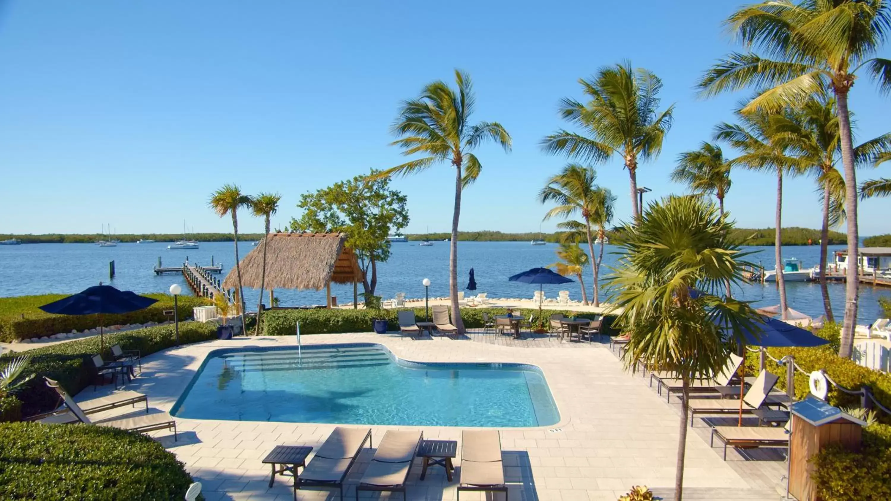 Pool View in Coconut Palm Inn