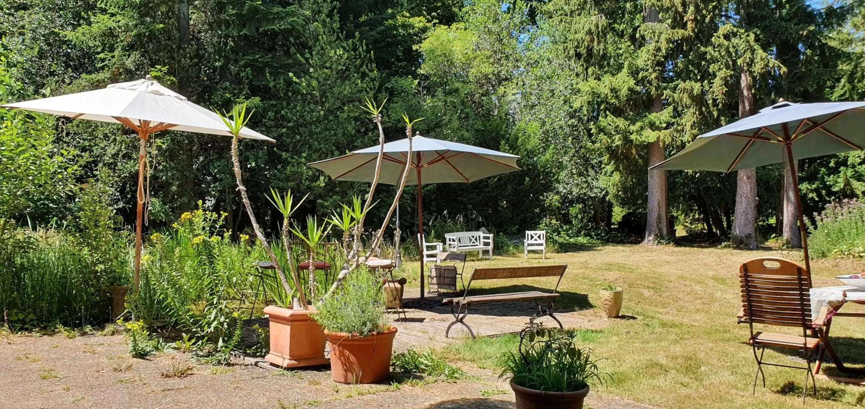 Summer, Garden in MaisonMazerand