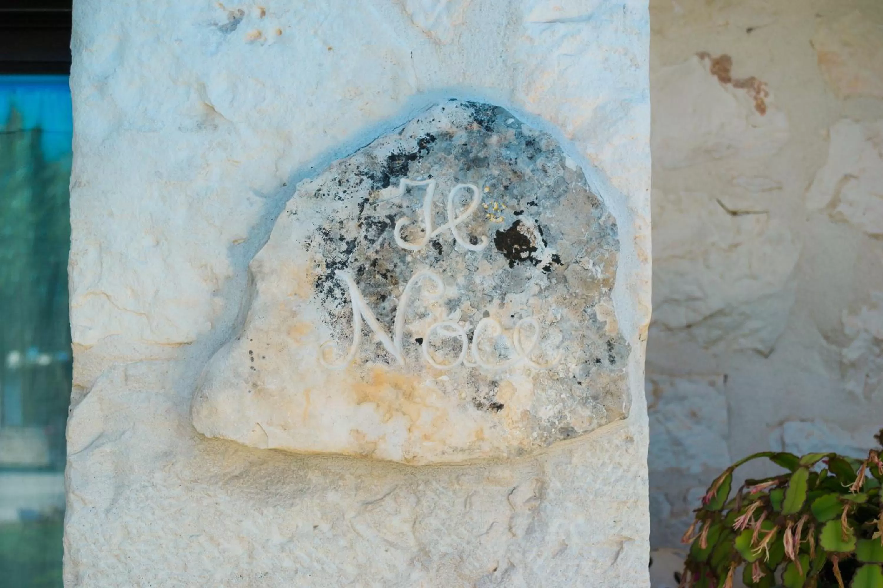 Logo/Certificate/Sign in Trulli Donna Isabella