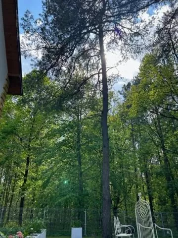 Leśna Residence & SPA