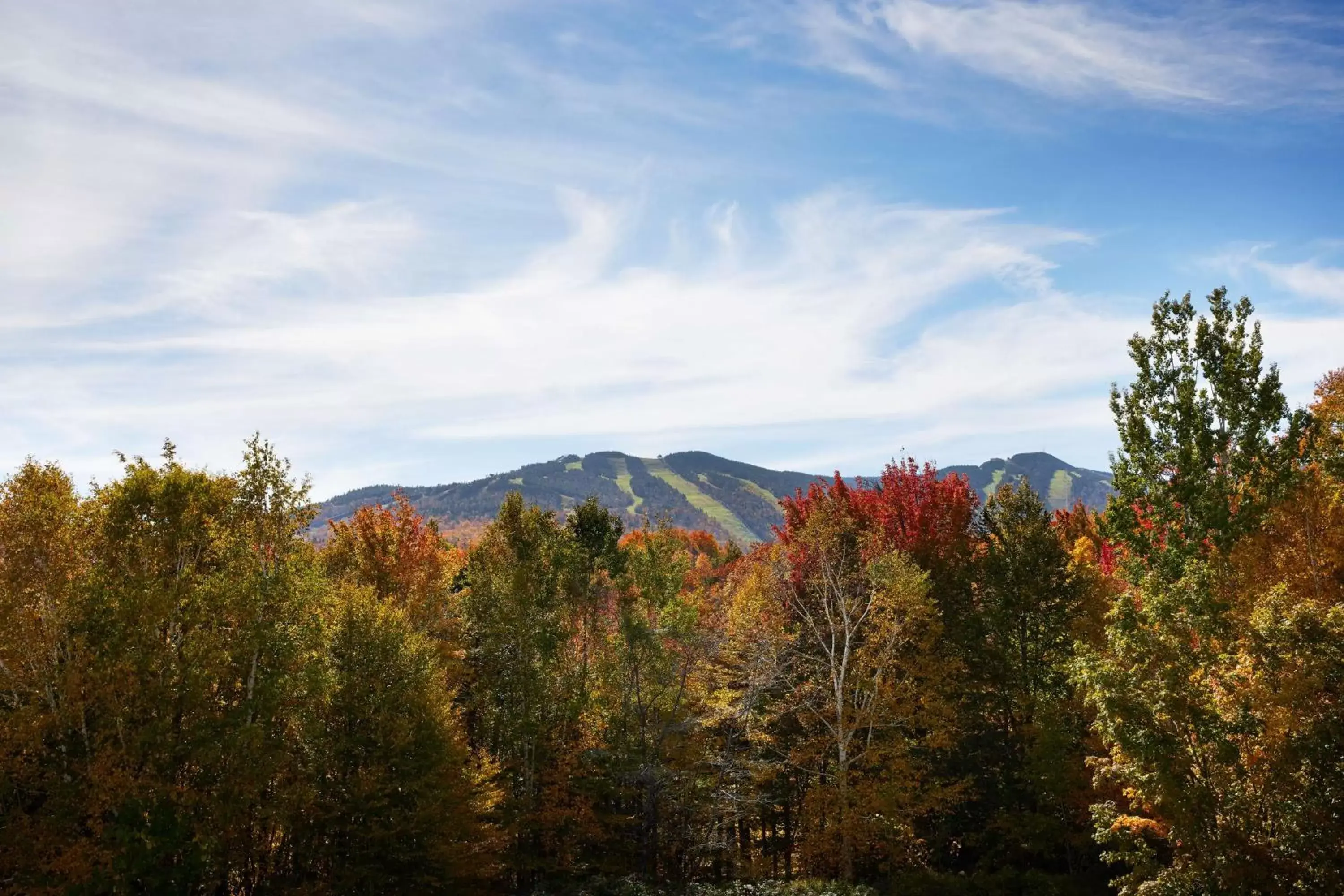 View (from property/room), Mountain View in Killington Mountain Lodge, Tapestry Collection by Hilton