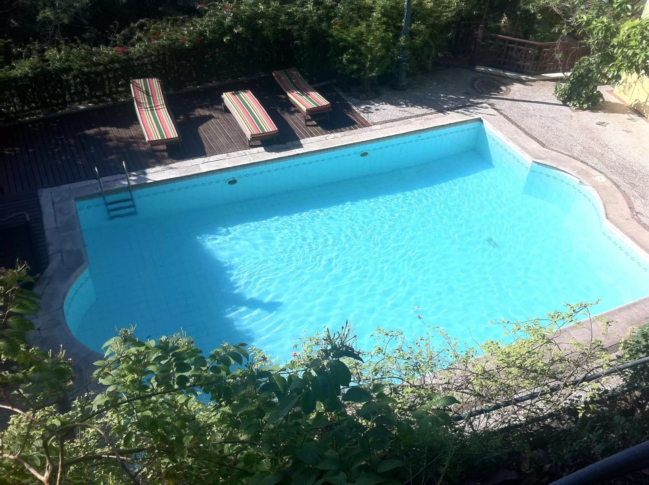 Pool view in Villa Alexandrino